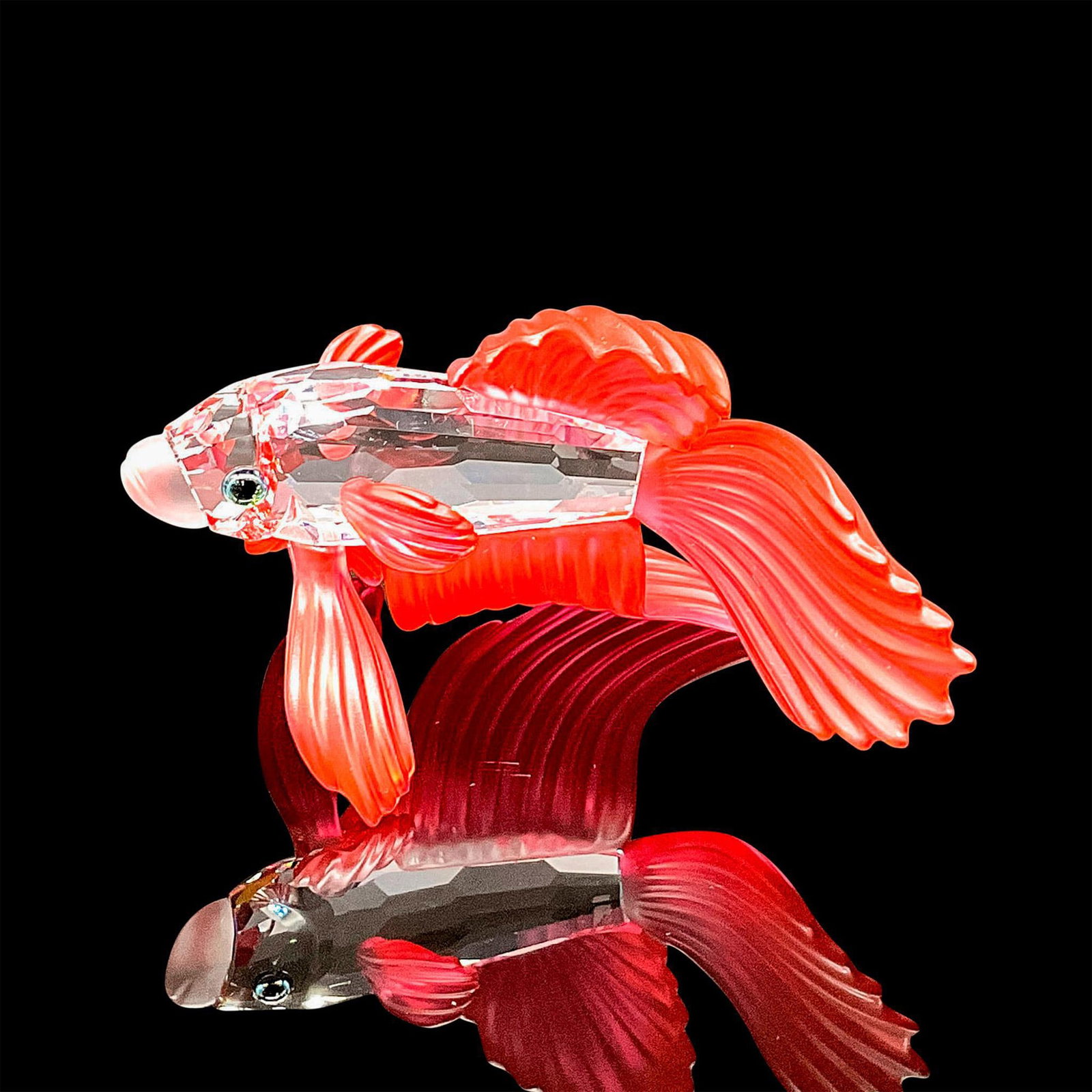 Swarovski Silver Crystal Figurine, Siamese Fighting Fish: Sparkling faceted and molded crystal figurine modeled as a Siamese fighting fish with flowing red fins and blue-green eyes. Swarovski acid marks. This item has its original box. Box dimensions: 4"H x 