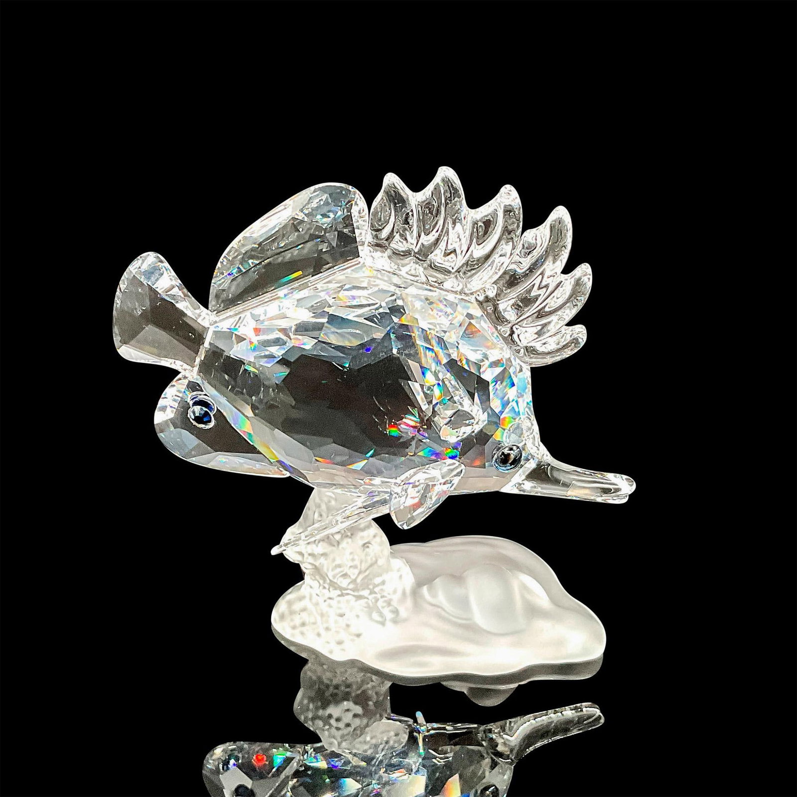 Swarovski Crystal Figurine, Longnose Butterfly Fish: Detailed faceted and molded crystal figurine modeled as the beloved longnose butterfly fish. Bluegreen eyes and blue gems fixed to rear fin. Body of fish fixed to a frost finished coral staghorn. Swar
