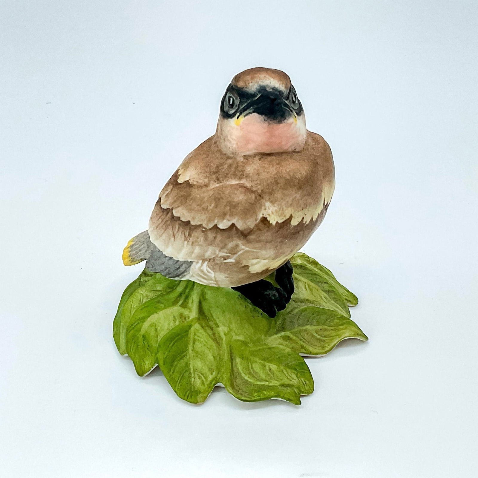 Edward Marshall Boehm Bird, Baby Cedar Waxing (1 of 3)