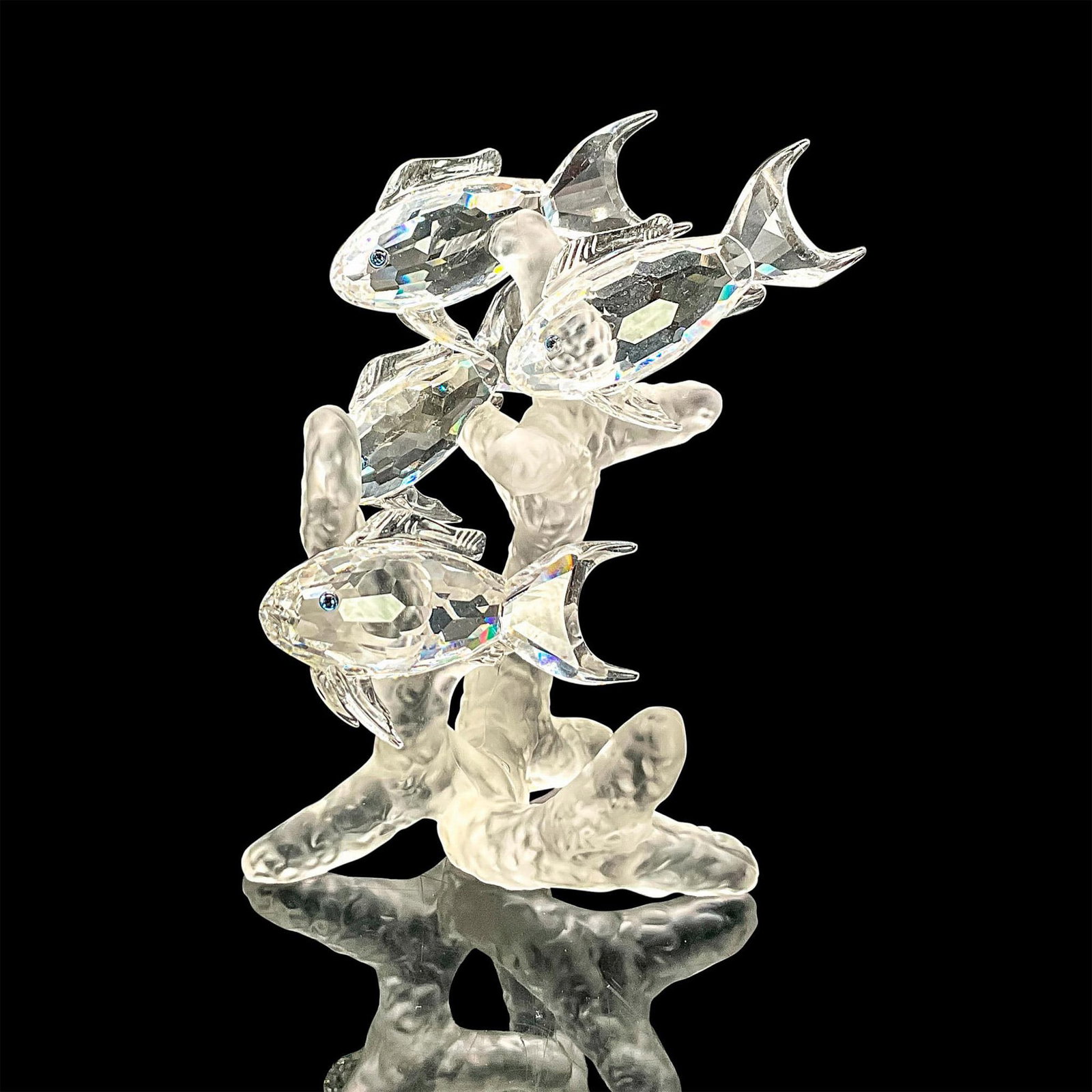 Swarovski Crystal Figurine, School of Fish: Brilliant cut clear crystal figure of fish on a base of satin crystal modelled as coral. Swarovski etched mark. Includes original box 8"L x 7.5"W x 6"H. Dimensions: 3.75"L x 3"W x 4"H Manufacturer: Sw