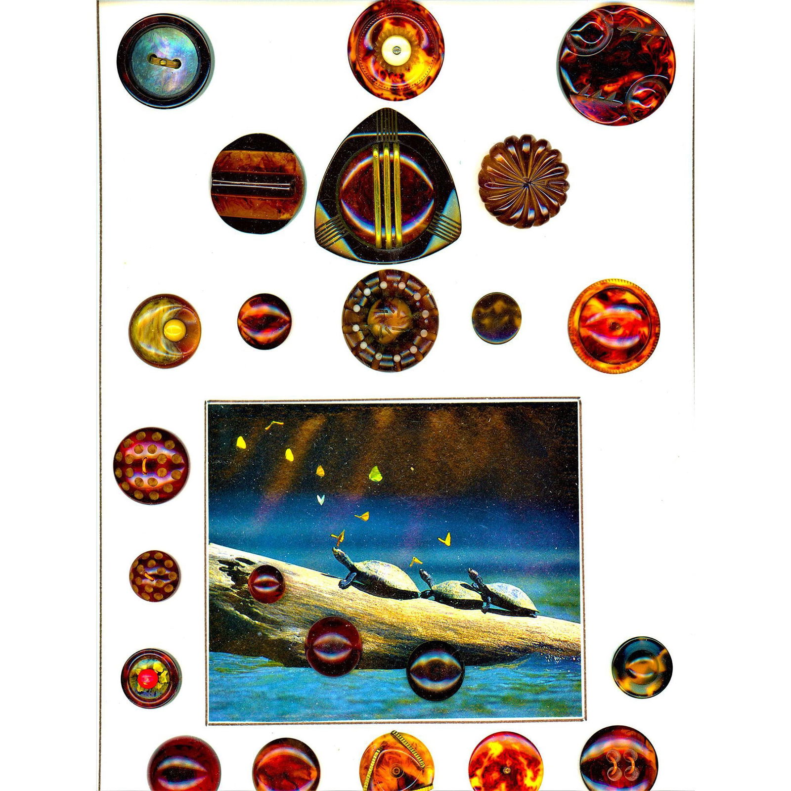 2 Cards of Division Three Assorted Bakelite Buttons (1 of 5)