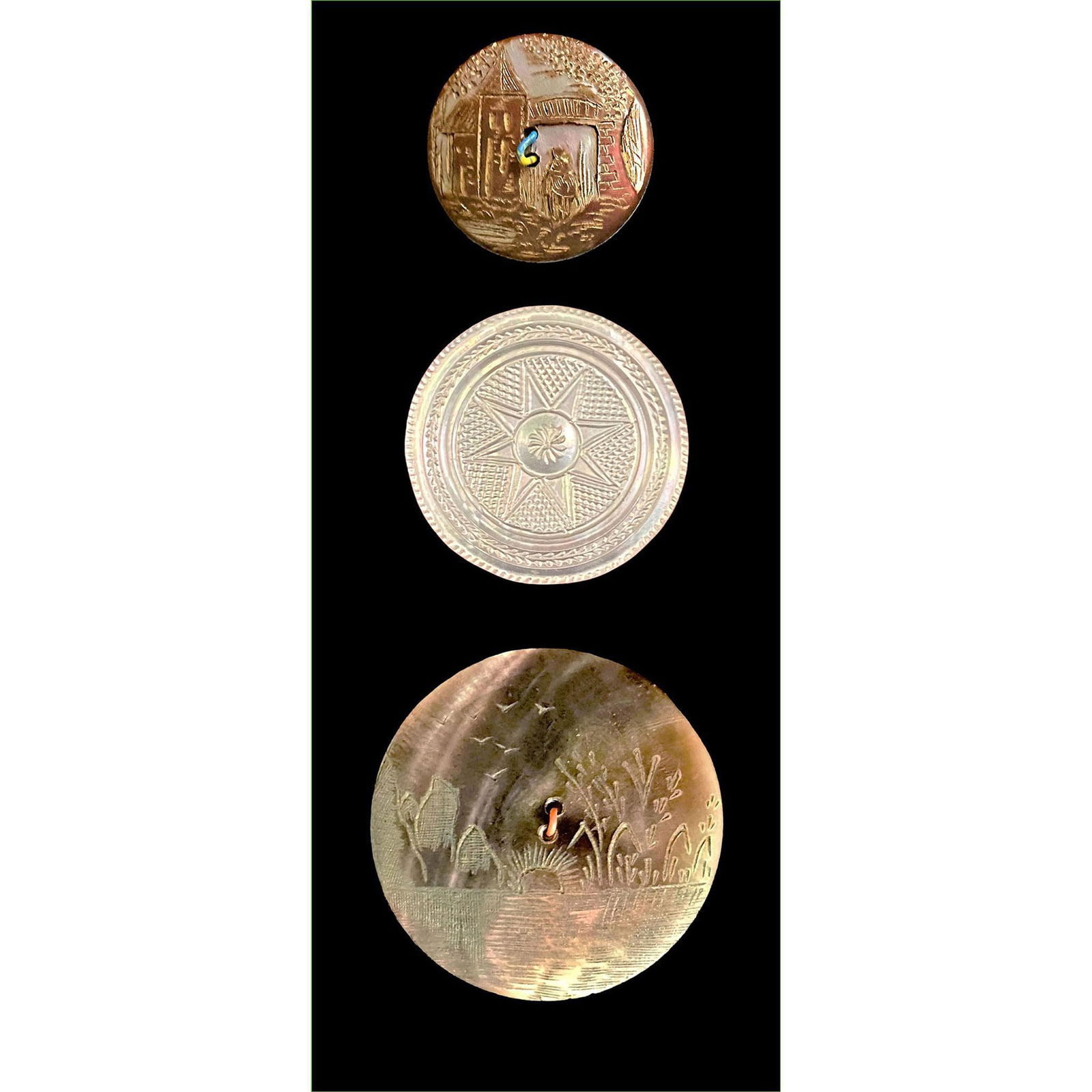 A Small Card of Division One Pearl Buttons (1 of 5)