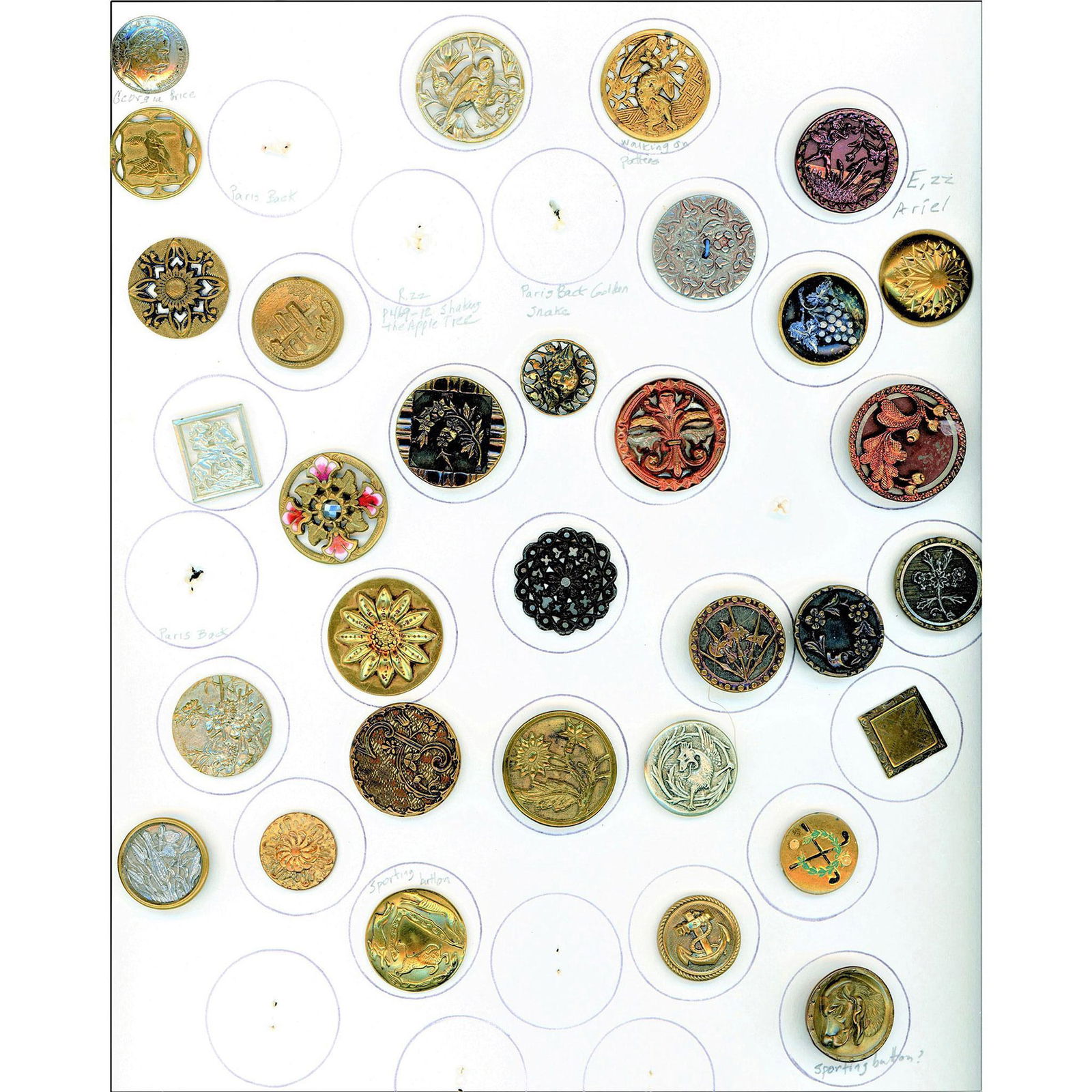 A Card of Mostly Division 1 Assorted Metal Buttons (1 of 3)