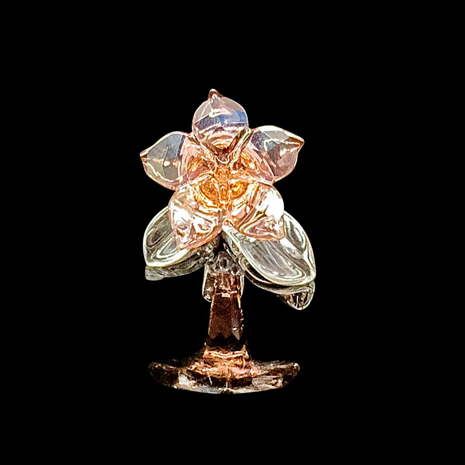 Swarovski Crystal Figurine, SCS Desert Rose: The desert rose is the SCS joining and renewal gift to members in 2020. Item comes with original box measuring 3.75"L x 3.75"W x 1.25"H. Issued: 2020 Dimensions: 1"L x 1"W x 1.25"H Manufacturer: Swaro