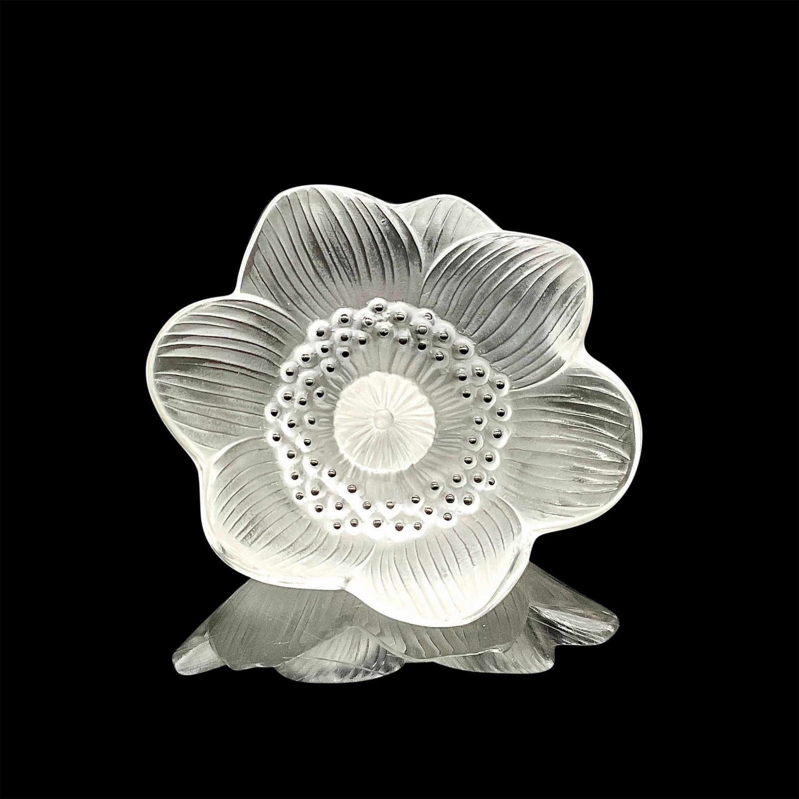 Lalique Crystal Anemone Flower: The Lalique Crystal Anemone Flower Sculpture, designed by the renowned crystal genius Rene Lalique, is a small, romantic, and contemporary crystal sculpture finished with black enamel dots. Lalique ba