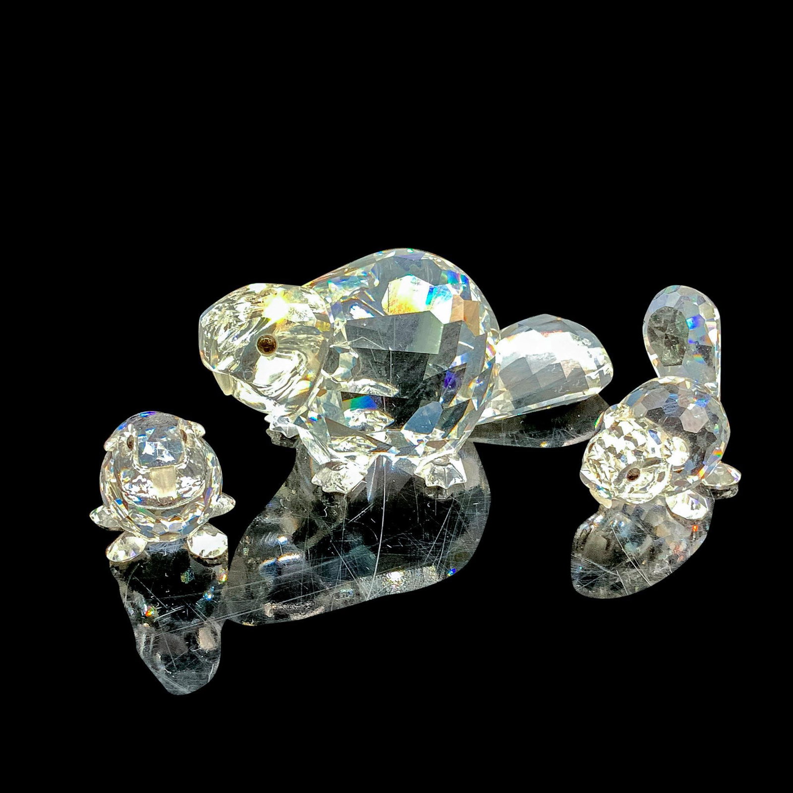 3pc Swarovski Crystal Figurines, Beaver Family: These beavers are made from clear faceted crystal with black eyes and frosted teeth. The mother measures 3"L x 1.5"W x 1.25"H. One baby measures 1.25"L x 1"W x 1"H. The other baby measures 1.5"L x 1"W