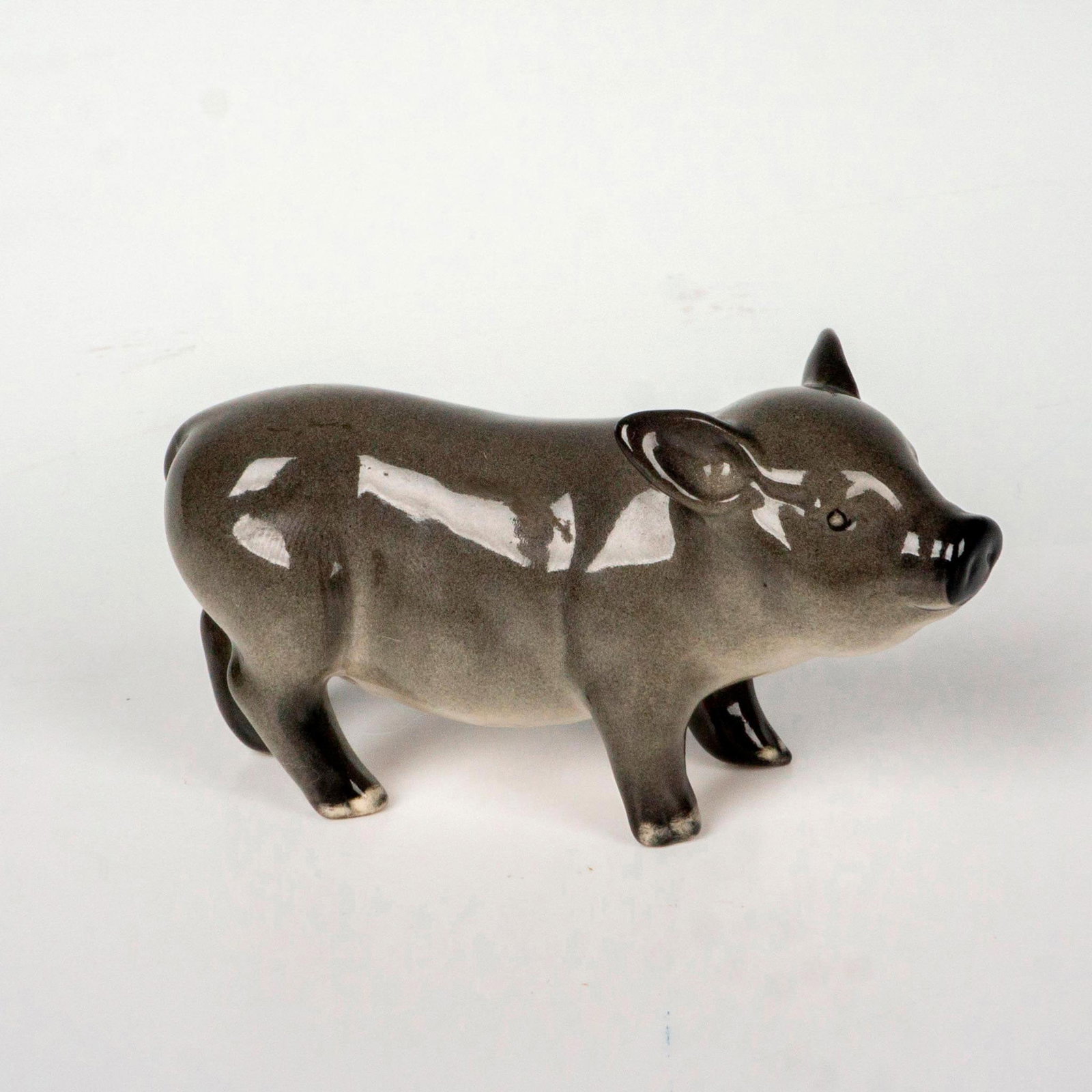 Vietnamese Pot-Bellied Piglet DA213 - Royal Doulton Figurine: A mini pig modeled in grey glossy finish. Royal Doulton backstamp. Artist: Warren Platt Issued: 1993-1999 Dimensions: 1.25"L x 2.75"W x 1.5"H Manufacturer: Royal Doulton Country of Origin: Englan