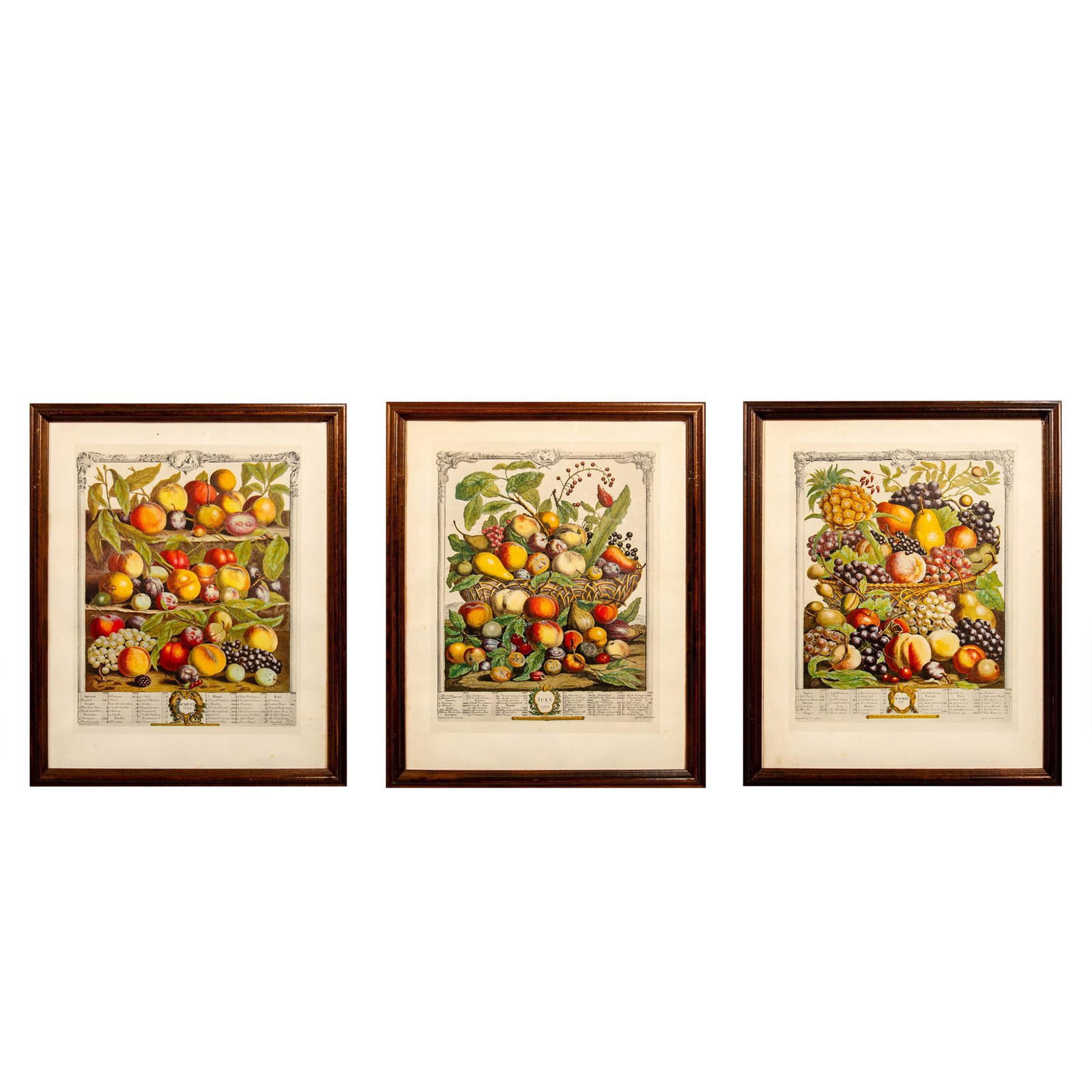 3pc After Robert Furber (1674-1756) Lithograph Prints (1 of 13)