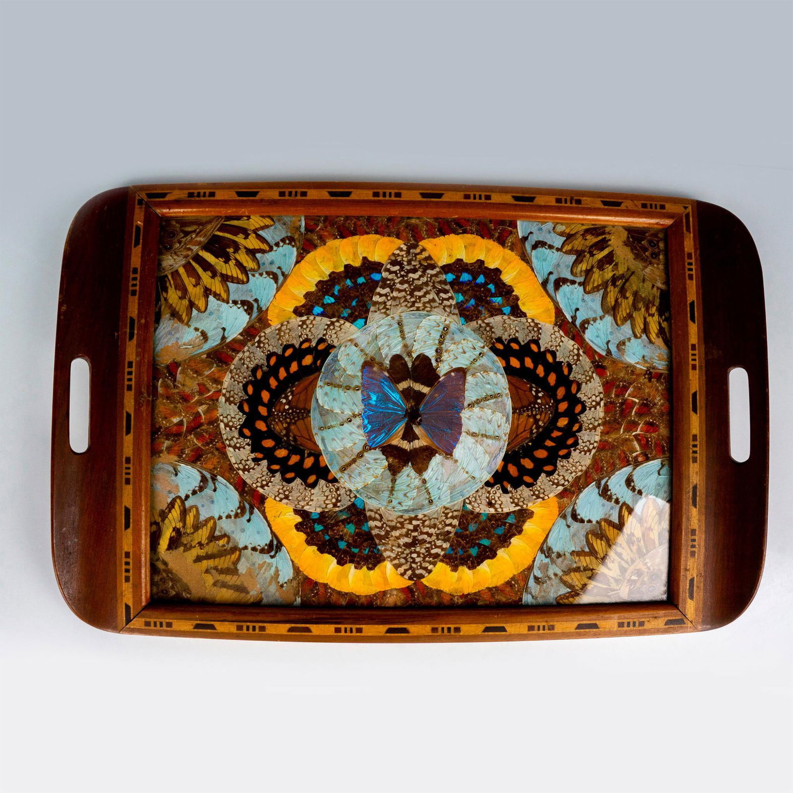 Brazilian Inlaid Tray Blue Morpho Butterfly Wings Design (1 of 3)