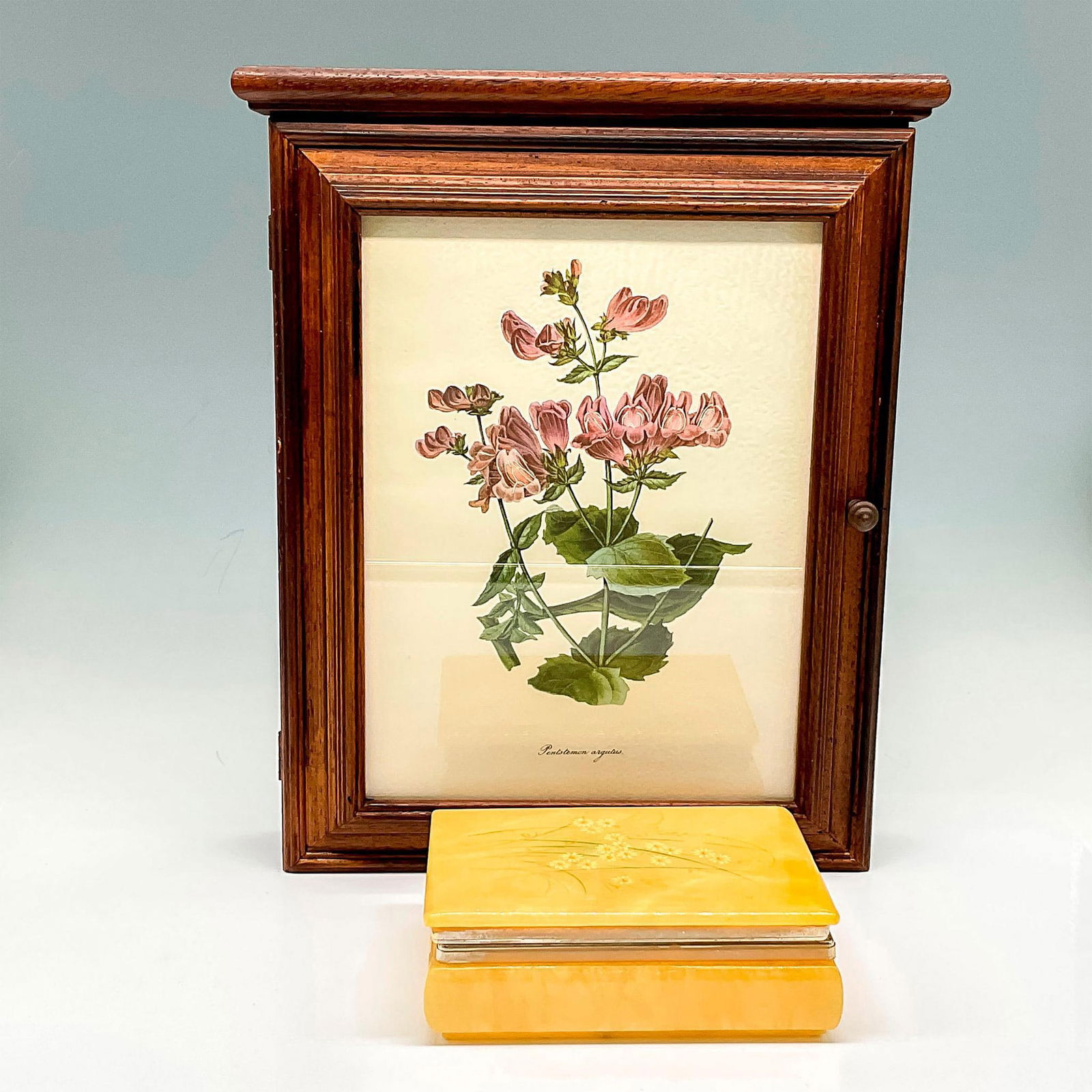 2pc Wood Wall Jewelry Cabinet + Alabaster Jewelry Box (1 of 3)