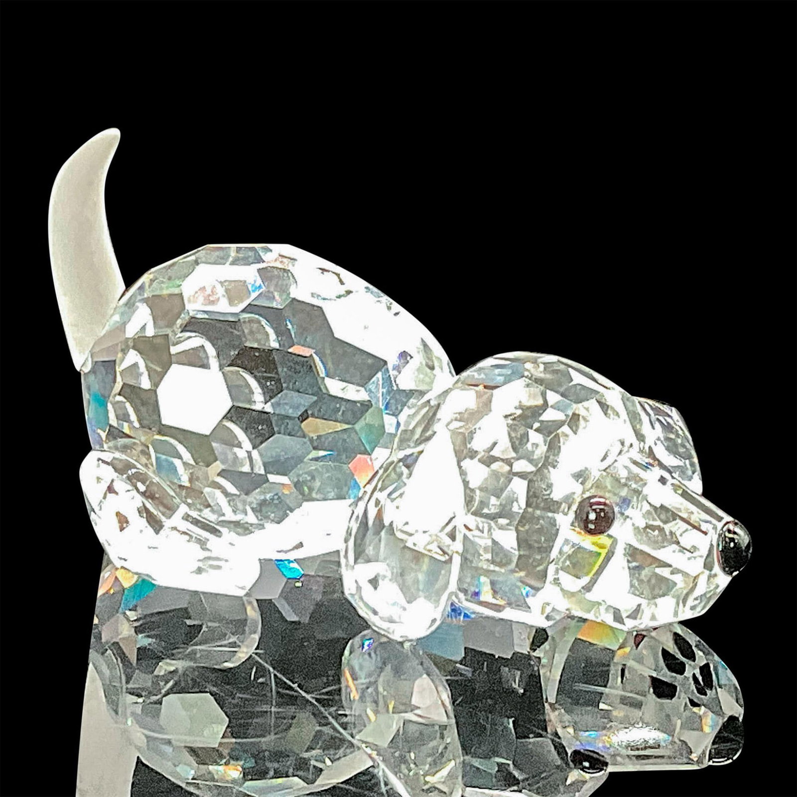 Swarovski Crystal Figurine Beagle Puppy Playing: The cute faceted clear crystal beagle lies in a prone position ready to jump up and fetch his stick. He has a frosted crystal tail and irresistible Jet crystal nose and eyes. Swarovski etched backstam