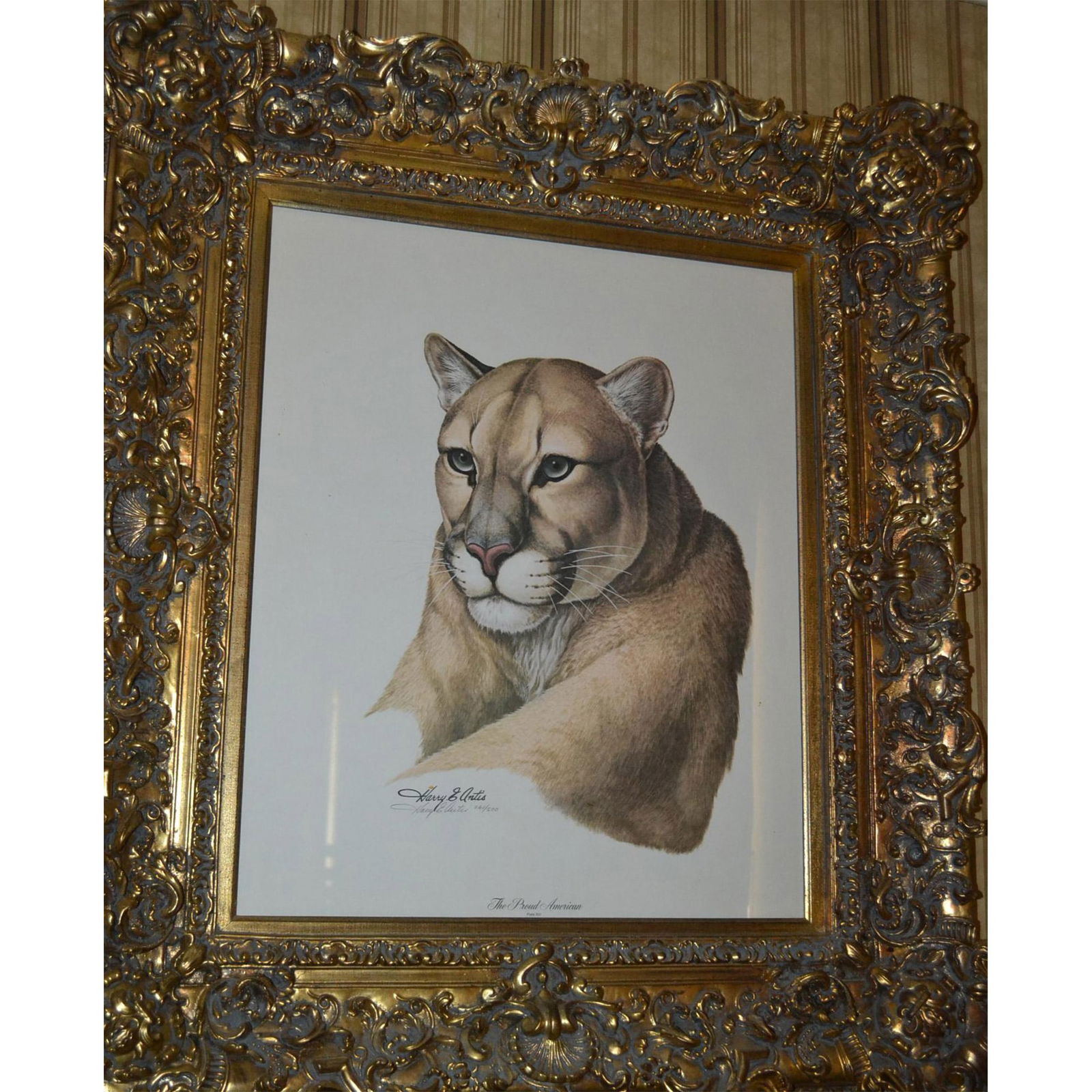 Harry E. Antis, The Cougar The Proud American, Pencil Signed, Framed