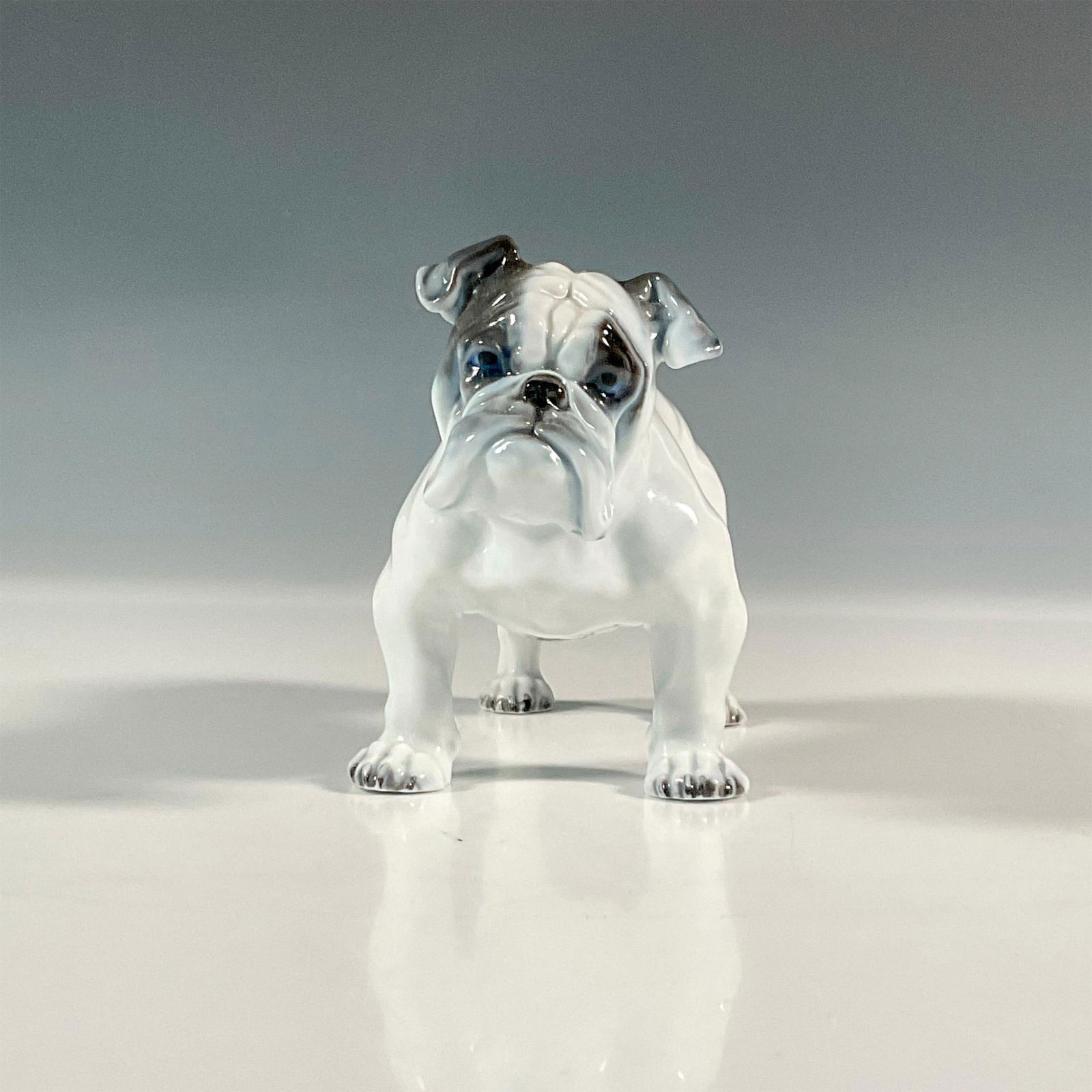Rosenthal Porcelain Figurine, English Bulldog (1 of 3)