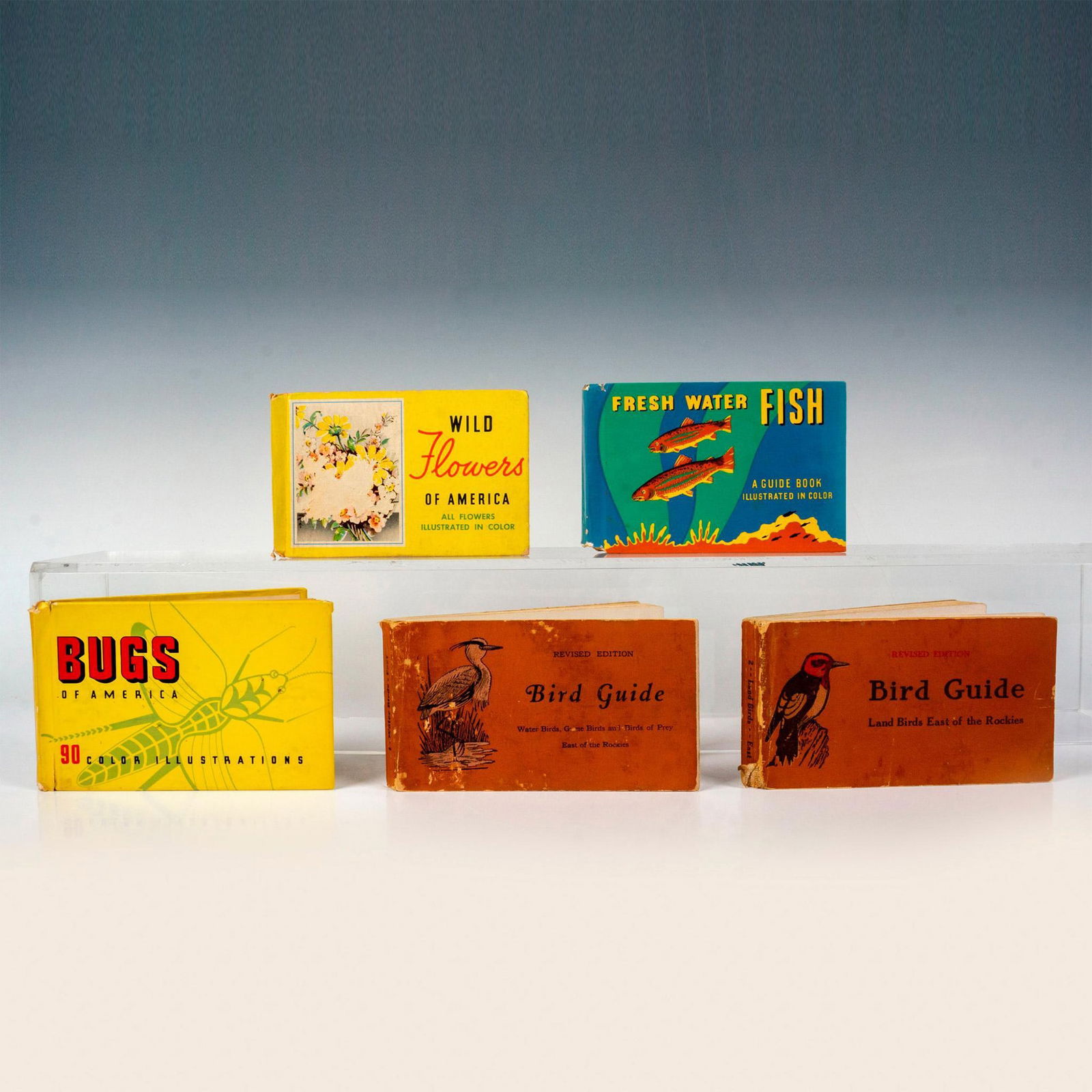 5pc Vintage Nature Field Guide Books (1 of 2)