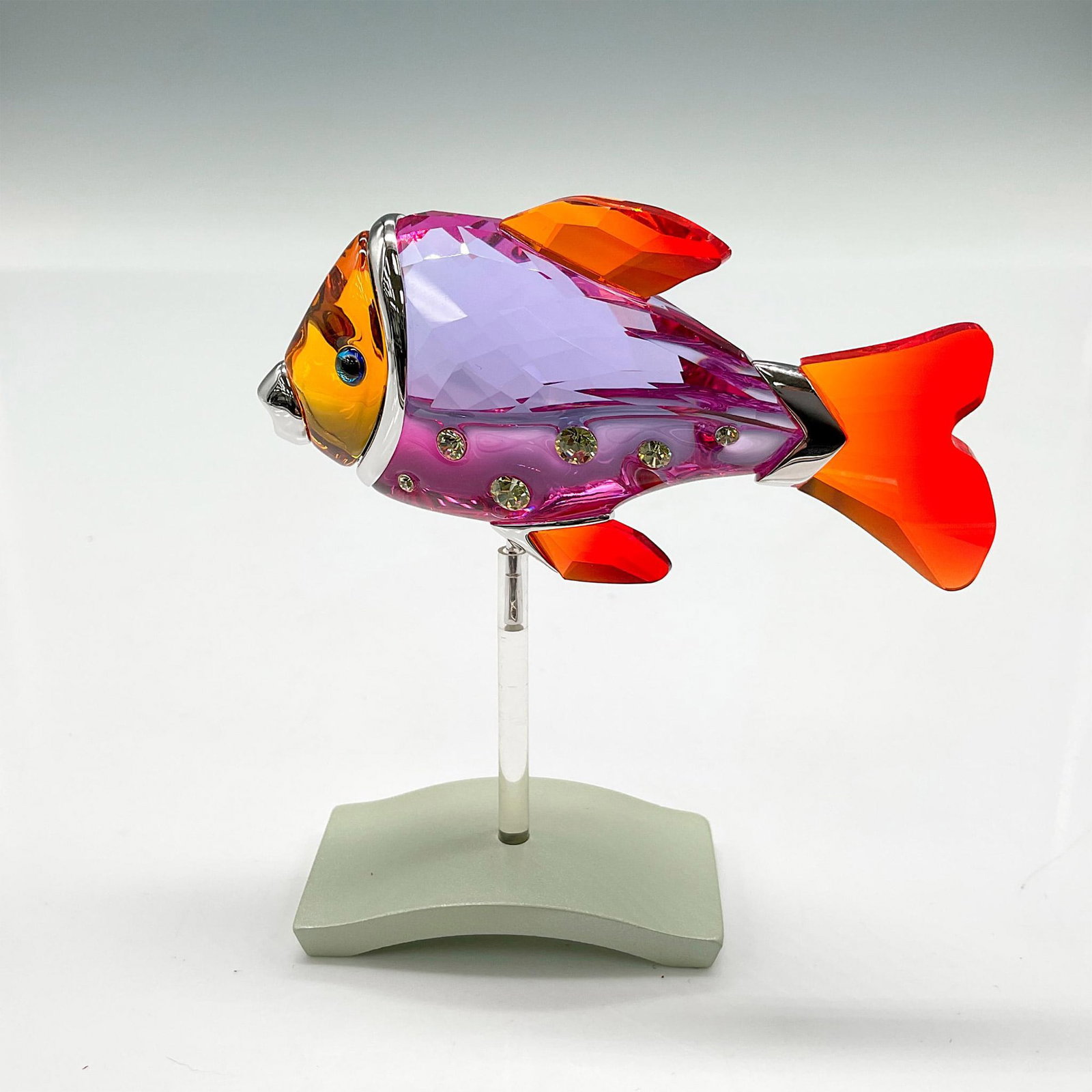 Swarovski Crystal Figurine, Fuchsia Rain Camaret: Part of the Exotic Fish and South Sea collection. This multicolored crystal fish has an amber crystal face, fuchsia faceted body with orange crystal fins and rhodium mouth with band around the head. S