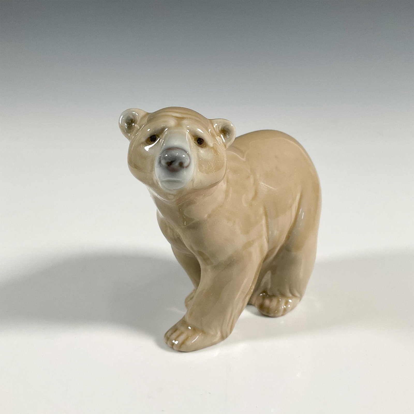 Attentive Bear 1001204 - Lladro Porcelain Figurine: A glossy brown bear standing on all four. Lladro backstamp. This item has its original box: 7.75"L x 5"W x 3.75"H. Artist: Juan Huerta Issued: 1972-1989 Dimensions: 5"L x 2.5"W x 3.75"H Manufacturer: 
