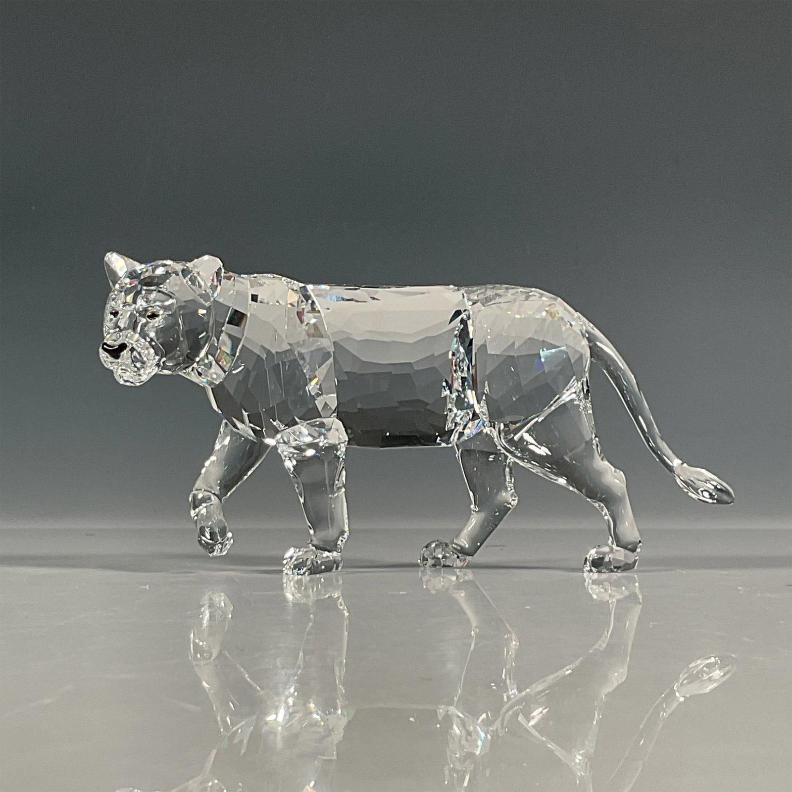 Swarovski Crystal Figurine, Lioness: Powerful lead crystal figure of a mother lion. Crafted in fully clear crystal, can be combined with the lion cub for a lovely family scene. Swarovski etched backstamp. This item has its original box. 