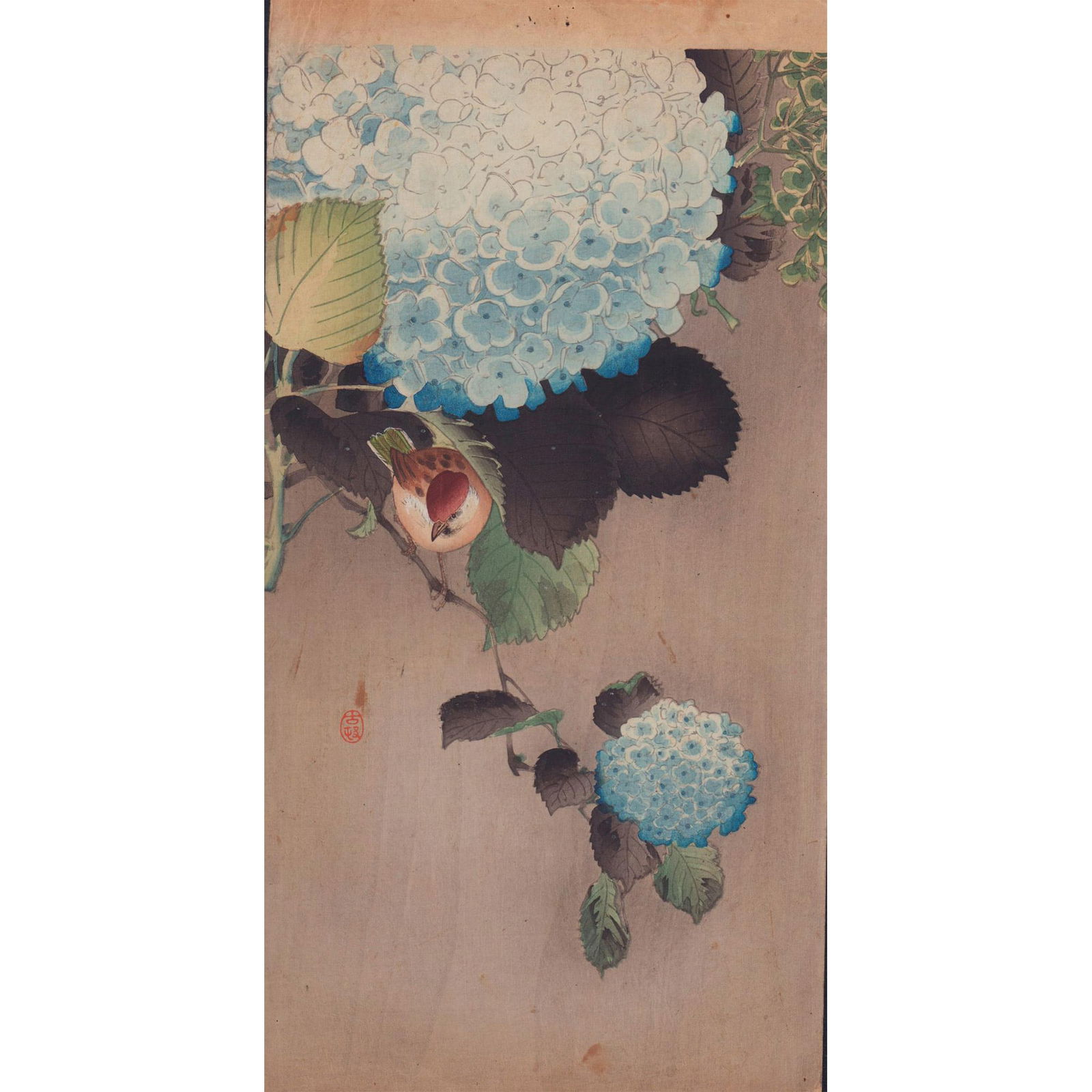 Koson (Japanese) Woodblock Print, Sparrow on Hydrangea (1 of 1)