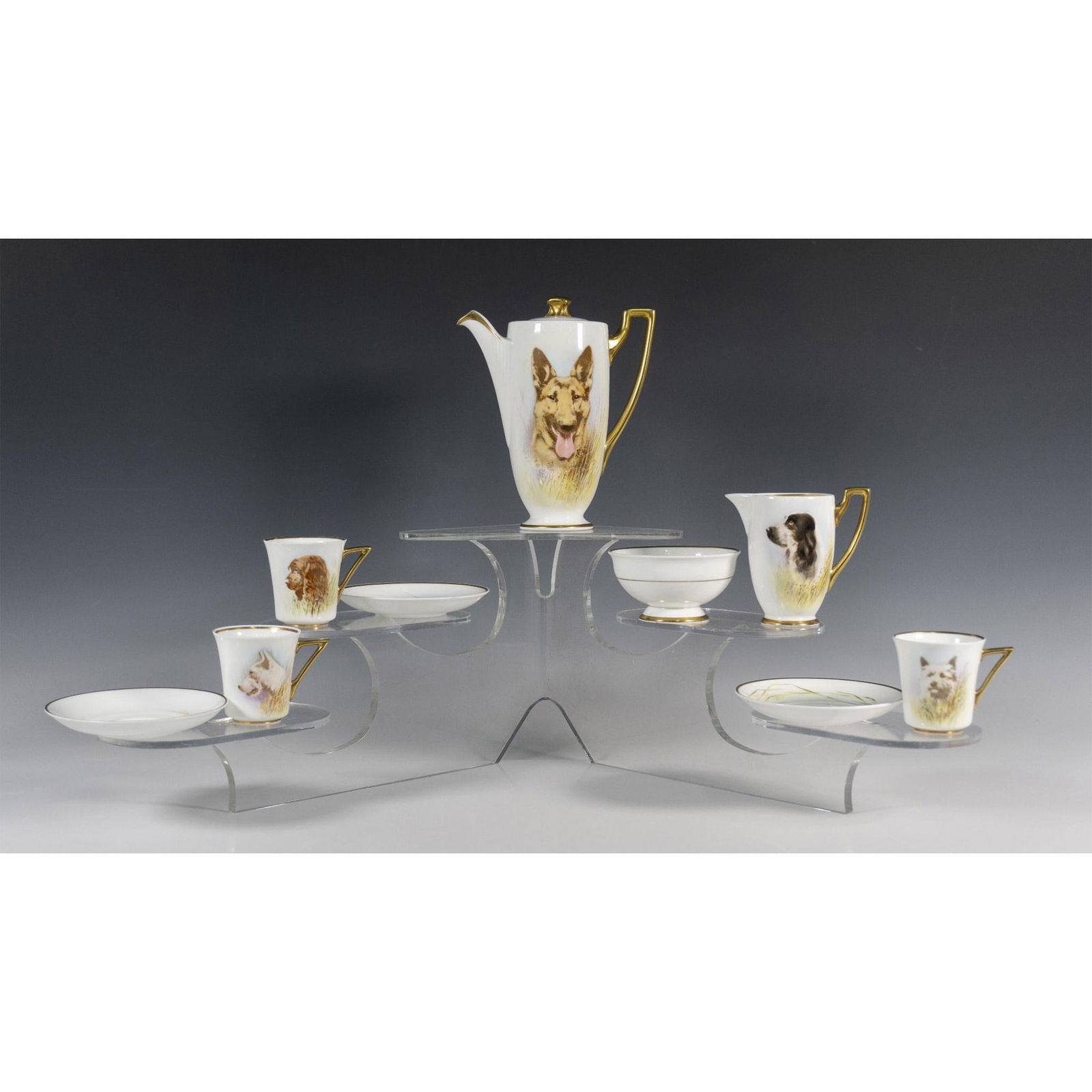 9pc Rare Royal Doulton Dog's Heads-A Seriesware Coffee Set (1 of 4)