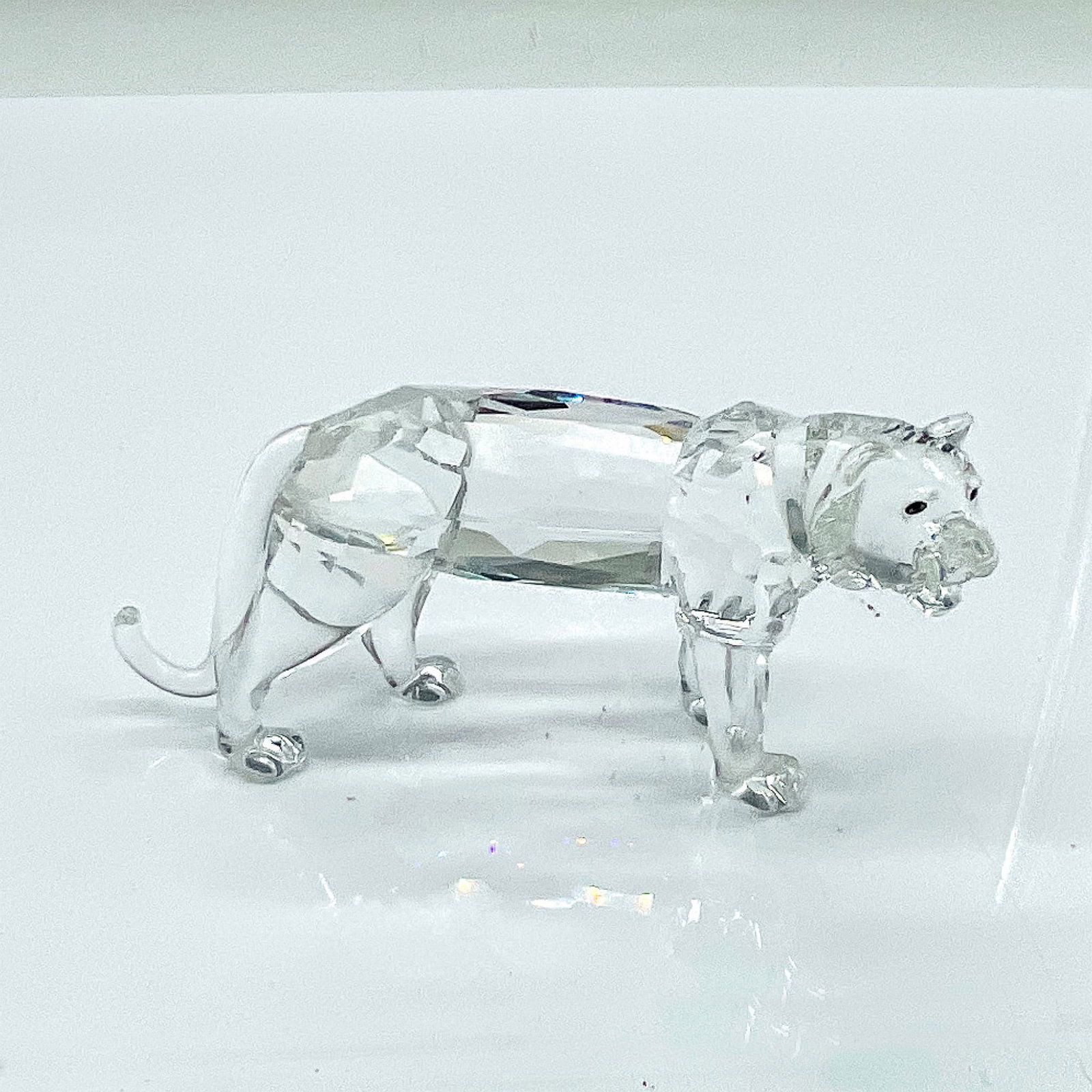 Swarovski Silver Crystal Figurine, Tiger: Lead crystal part of the Endangered Species series and is made from clear crystal with colored crystal eyes. Swarovski etched backstamp. This item has its original box. Box measures: 7.5"L x 8"W x 3.5
