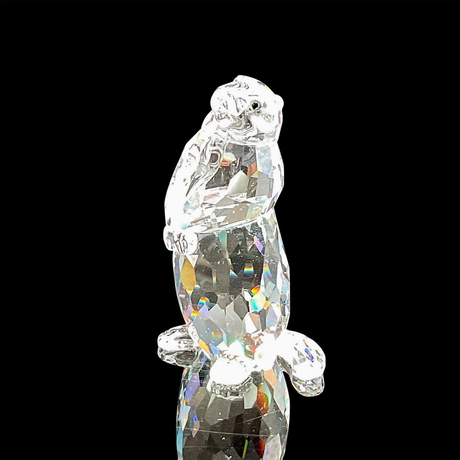 Swarovski Crystal Figurine, Marmot: Sitting clear crystal body, paws in front with black inset eyes. 7608 000 005. Swarovski backstamp. This item has its original box: 3.75"H x 3.25"dia. Certificate of Authenticity included. Issued: 20t