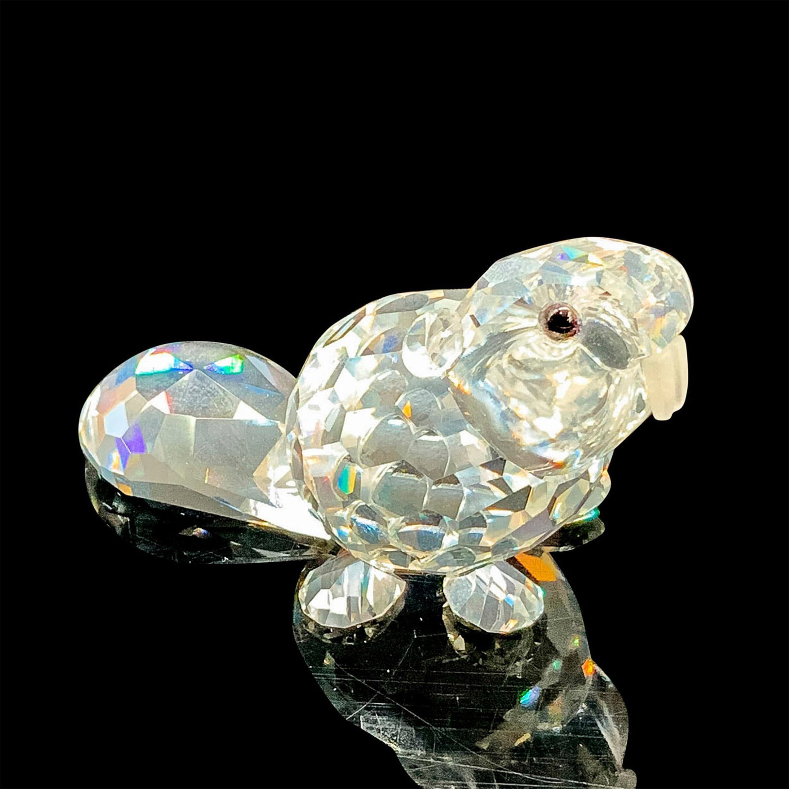 Swarovski Silver Crystal Figurine, Beaver Baby 164638: This retired Swarovski crystal beaver is made from clear crystal, has black eyes and frosted teeth. Swarovski acid stamp on the bottom of the tail. The box measures 3.25"dia. x 2.5"H. Artist: Adi Stoc