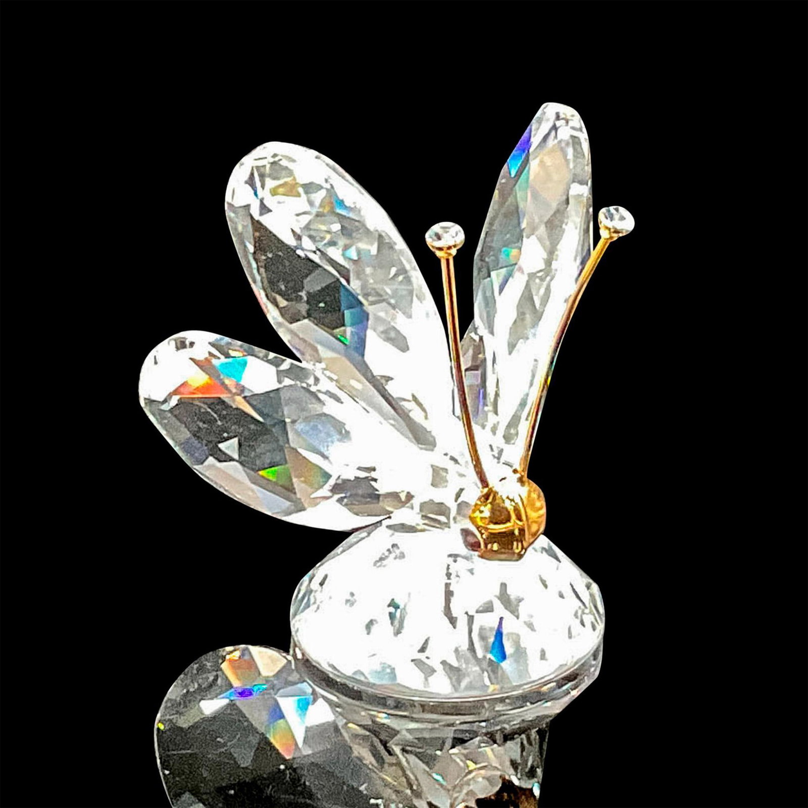 Swarovski Crystal Figurine, Butterfly with Gold Antennae: Part of the A Summer Meadow Collection. Clear faceted crystal black crystal inset eyes with gold toned face and antennae. Antennae have crystal tips. Swarovski backstamp. 7667 035 000. This item has i