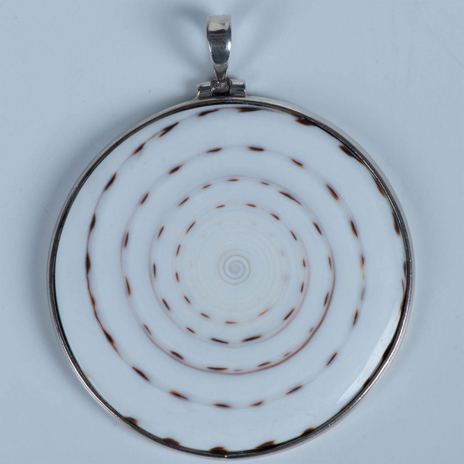 Beautiful Silver & Natural Cone Shell Pendant (1 of 2)
