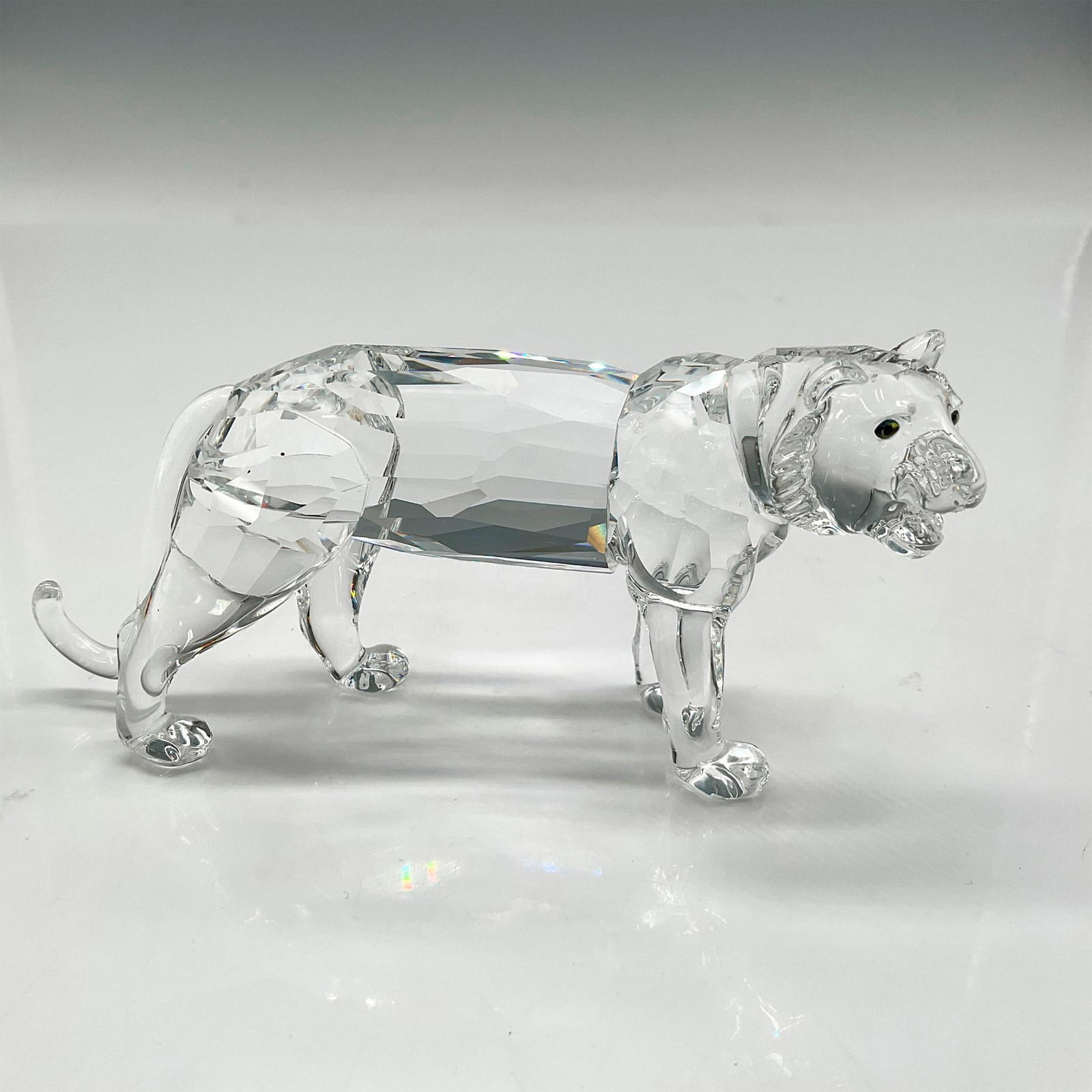 Swarovski Silver Crystal Figurine, Tiger: Part of the Endangered Species group this clear faceted creature with mouth open and wide Sahara crystal eyes. Swarovski backstamp. 7610 000 003. This item has its original box: 7.5"L x 8"W x 3.5"H. A