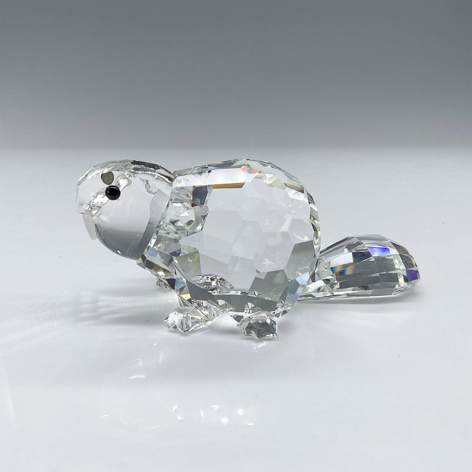 Swarovski Crystal Figurine Mother Beaver: This Swarovski crystal Mother Beaver is crafted from clear crystal, featuring black eyes and frosted teeth. It belongs to the Endangered Species group. This item has its original box which measures 5.