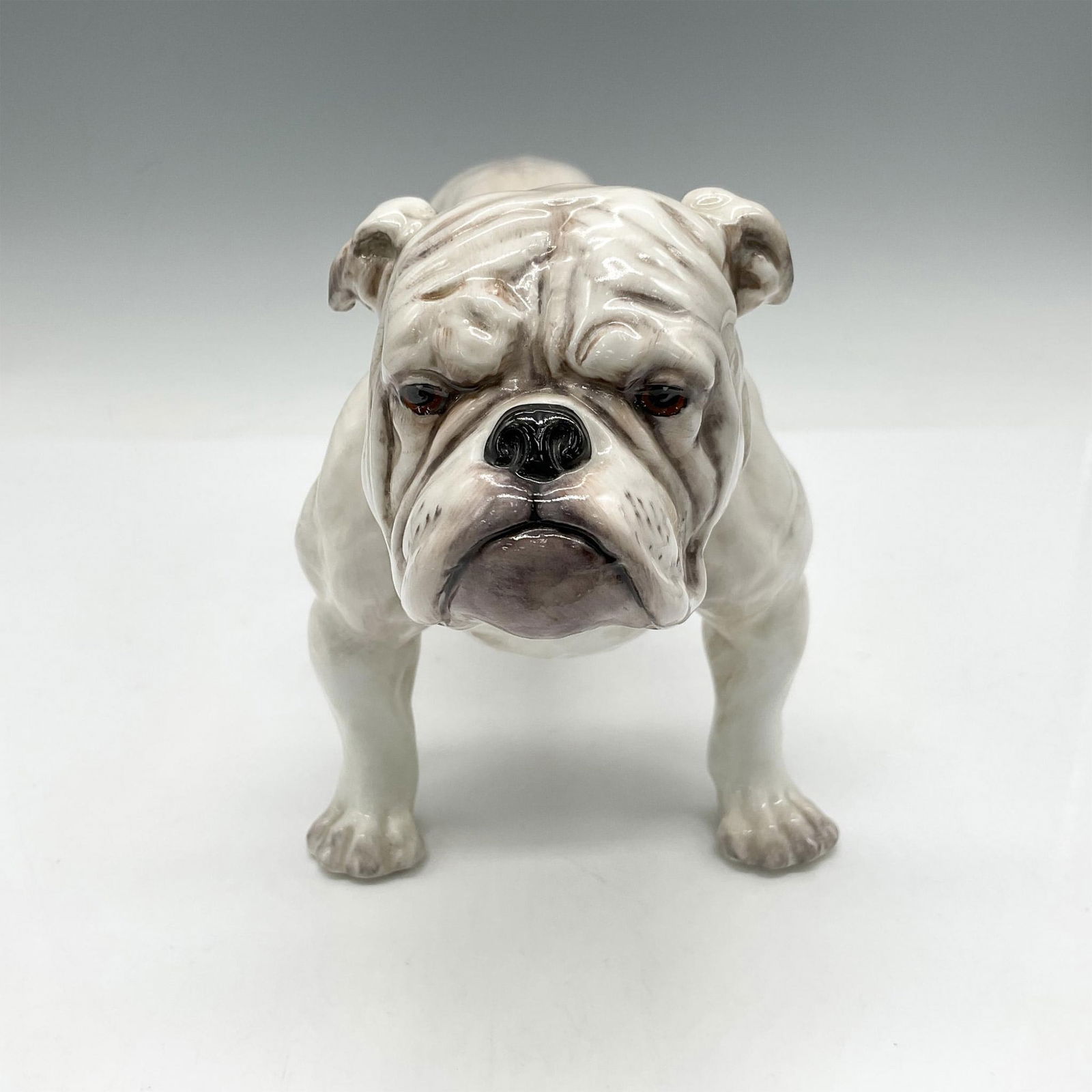 Large Chalkware Bull Dog