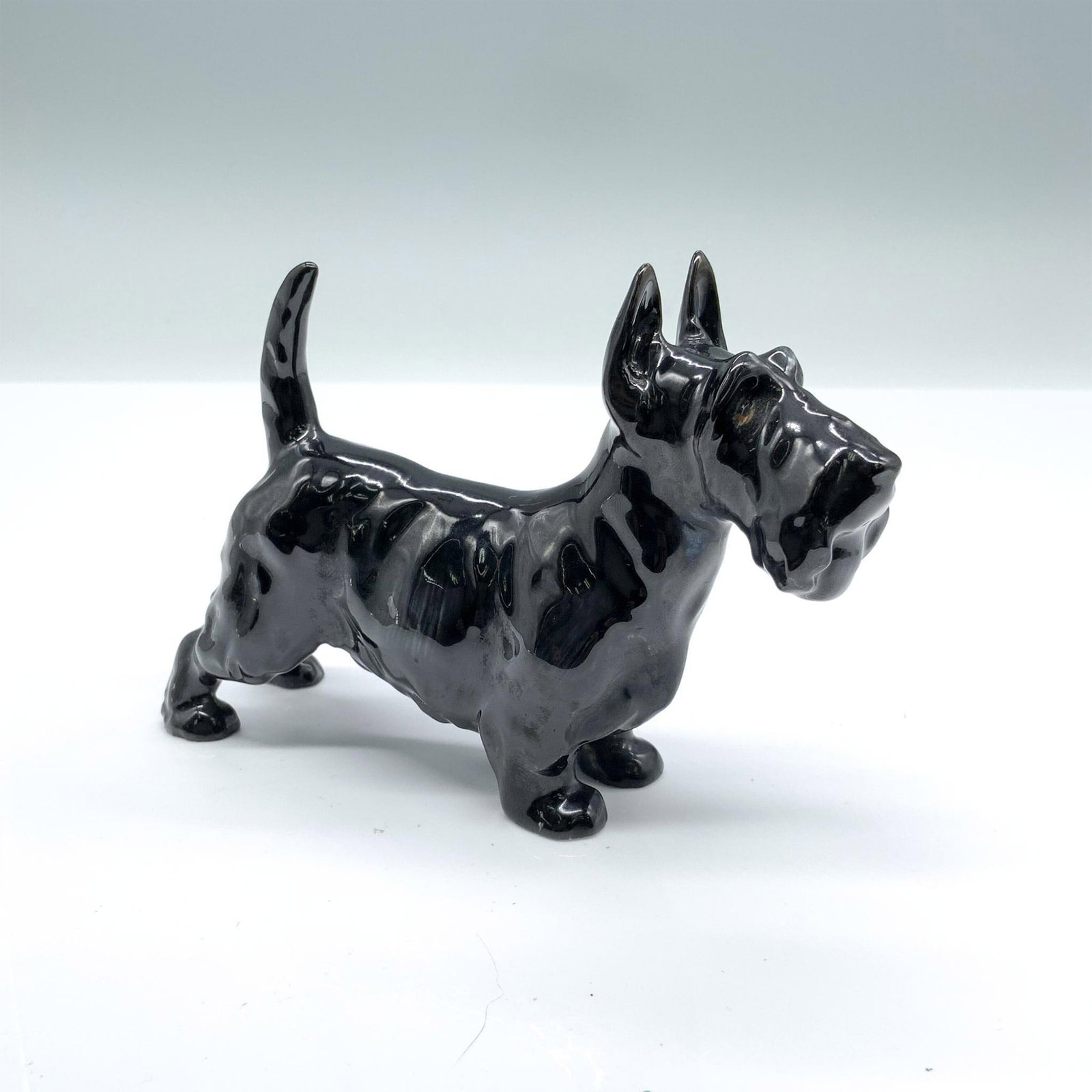 Scottish Terrier - HN1016 - Royal Doulton Animal Figurine: This small bone China Scottie figurine has a black glossy finish and Royal Doulton backstamp. Artist: Frederick Daws Issued: 1931-1985 Dimensions: 5"L x 1.5"W x 3.5"H Manufacturer: Royal Doulton Coun
