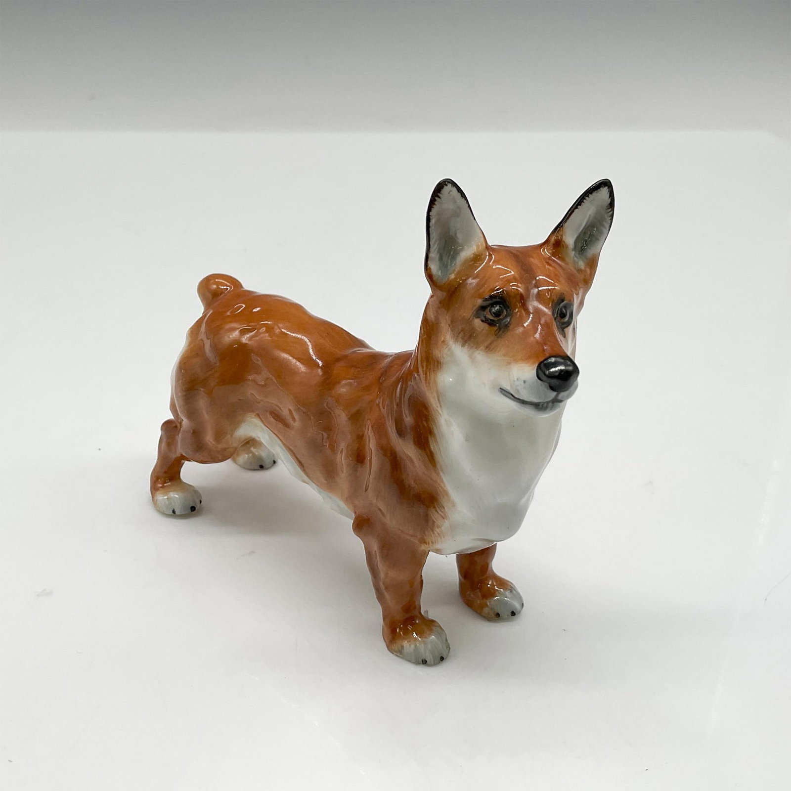 Welsh Corgi - HN2559 - Royal Doulton Animal Figurine: Spring Robin is designed with a golden-brown coat with a white underbody. Royal Doulton backstamp. Artist: Frederick Daws Issued: 1941 - 1985 Dimensions: 4.25"L x 1.25"W x 4"H Manufacturer: Royal Doul