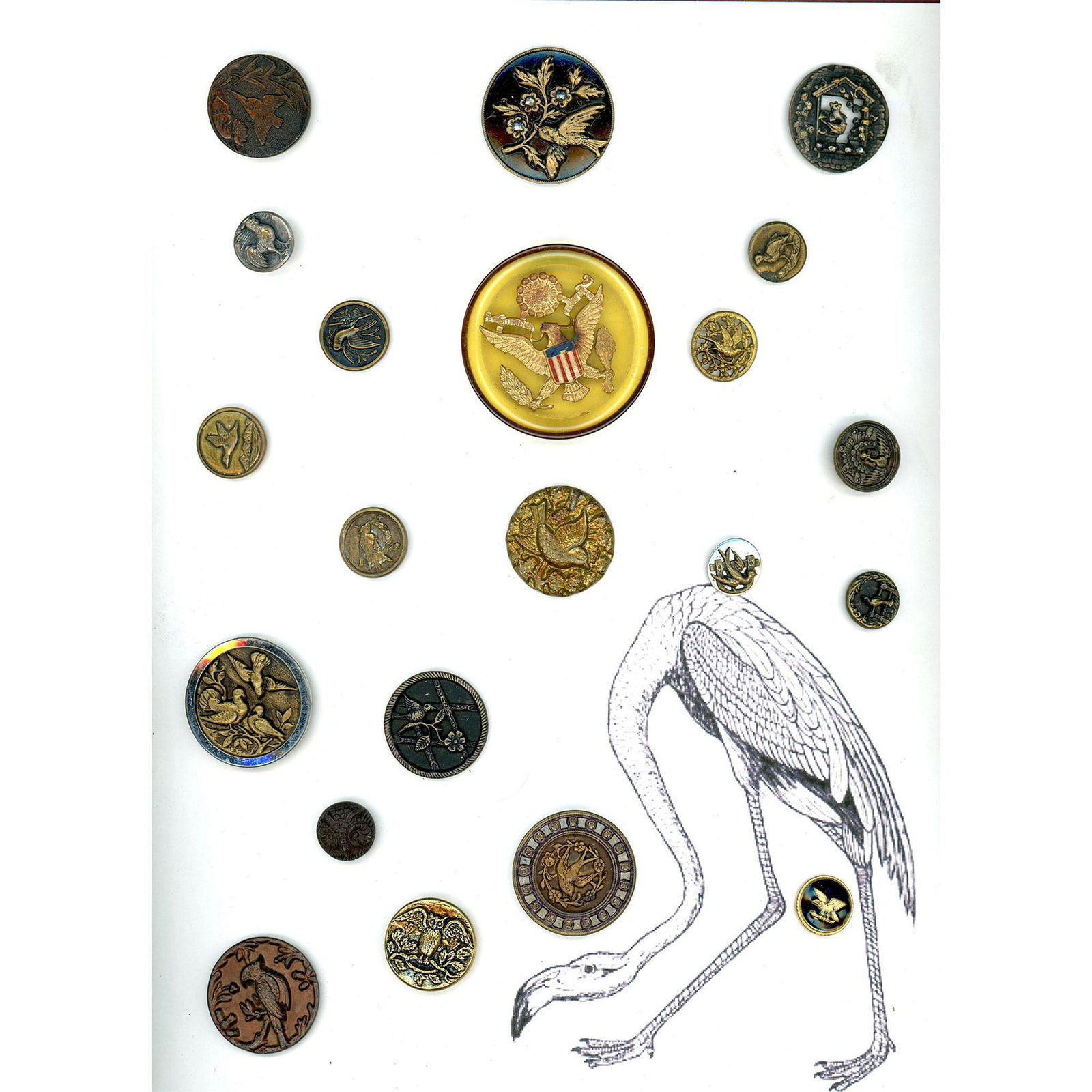 A Card of assorted buttons specialized to Birds (1 of 5)