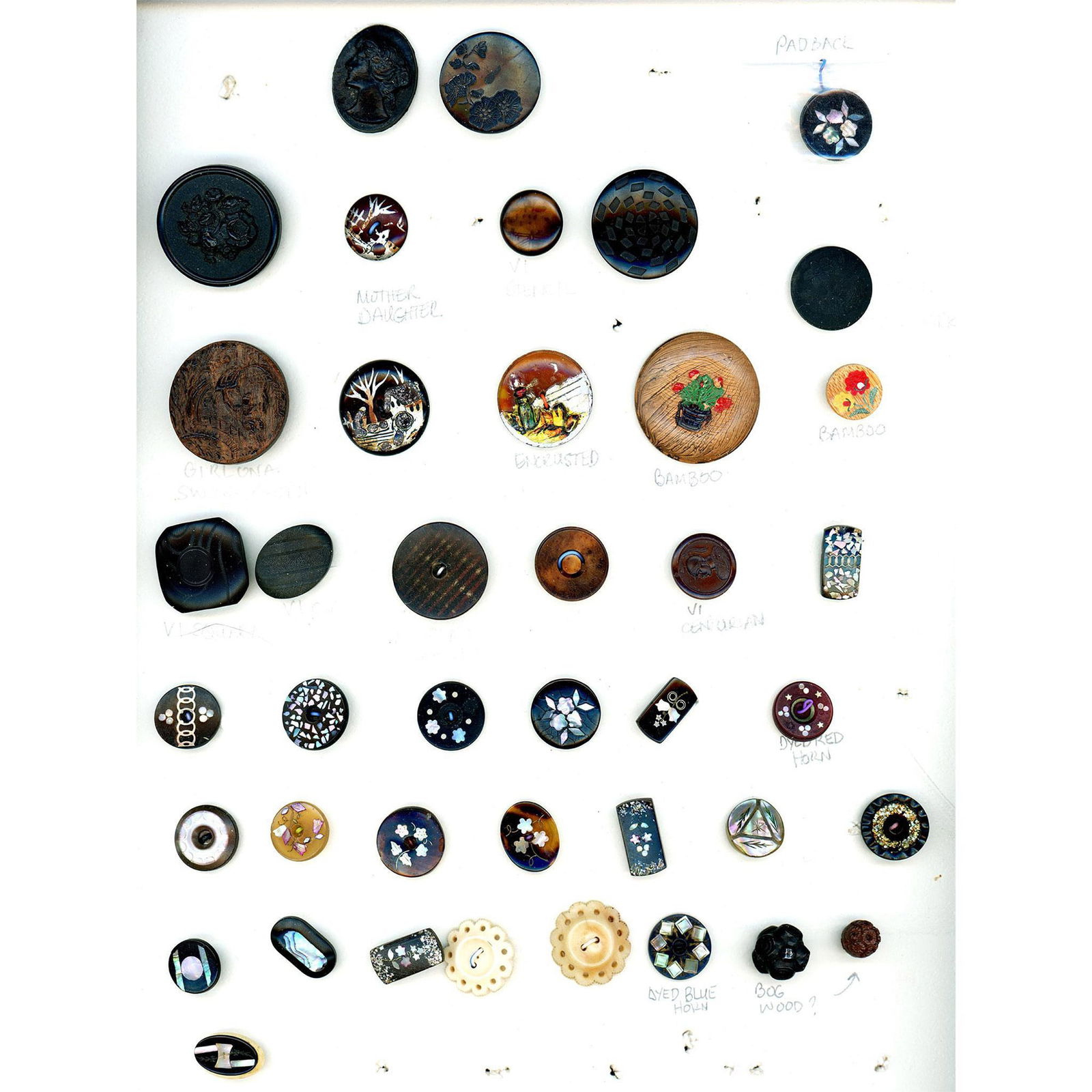 A card of natural material subject matter buttons (1 of 4)