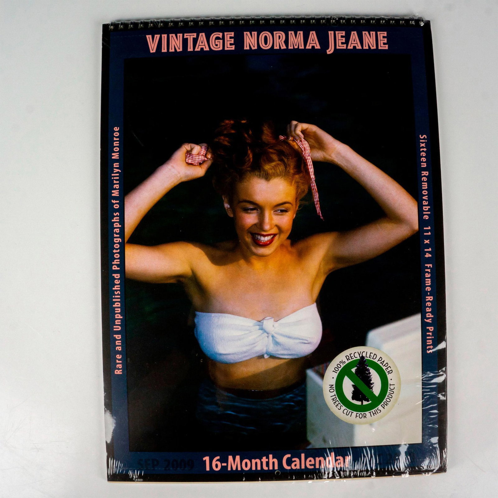Asgard Press Collectible Calendar, Vintage Norma Jean 2010 (1 of 2)