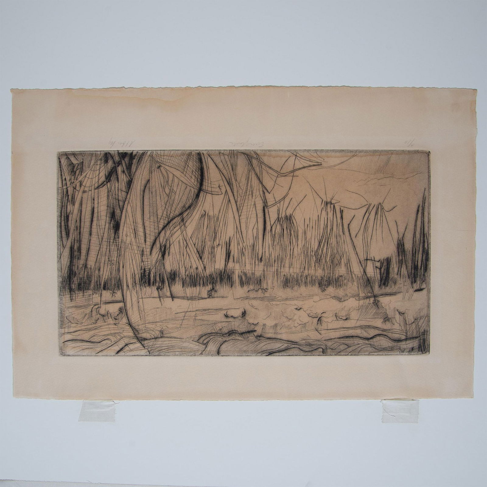 Fred Albert, Original Etching on Paper, Everglades, Signed (1 of 5)