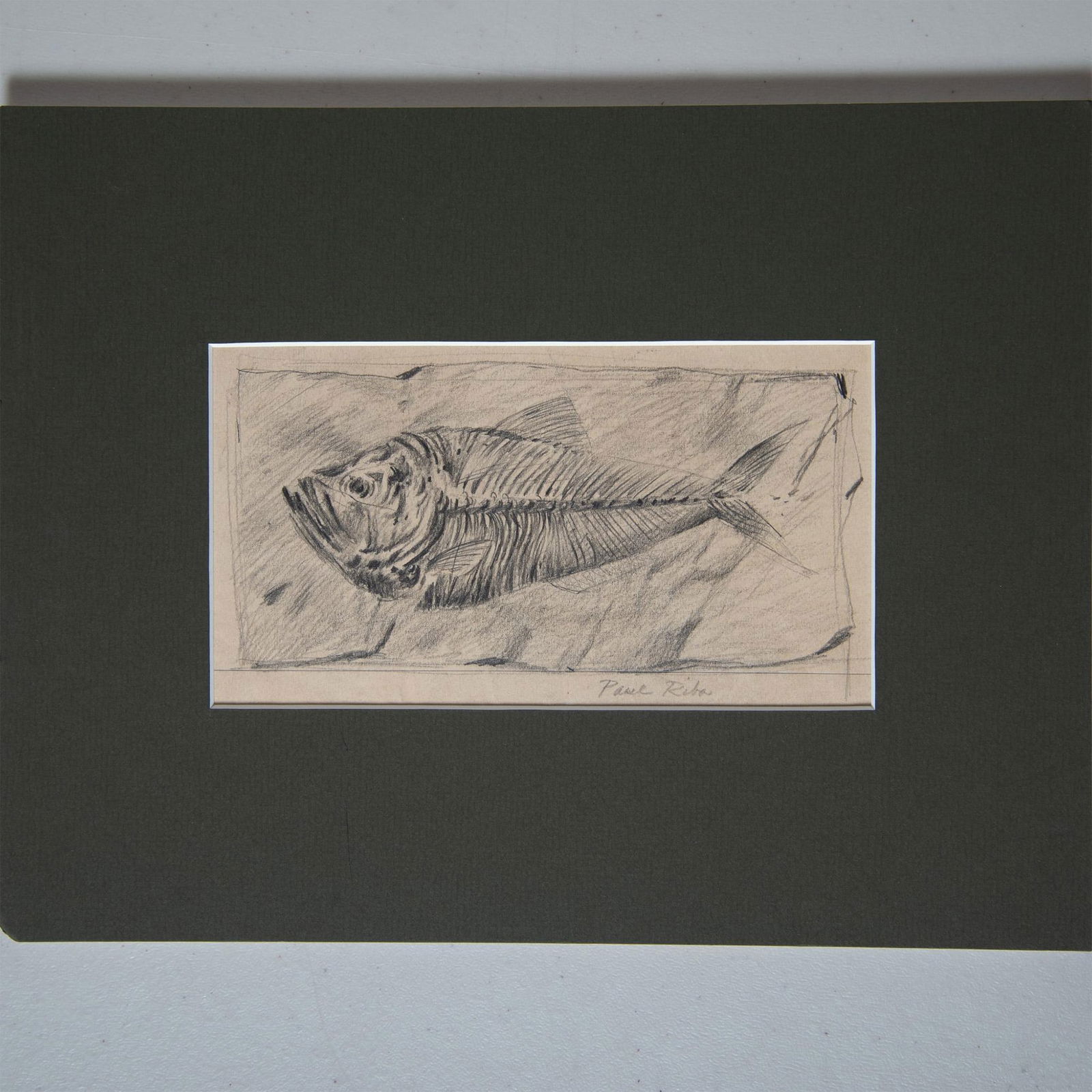 Paul Riba, Original Graphite Drawing on Paper, Fish, Signed (1 of 3)