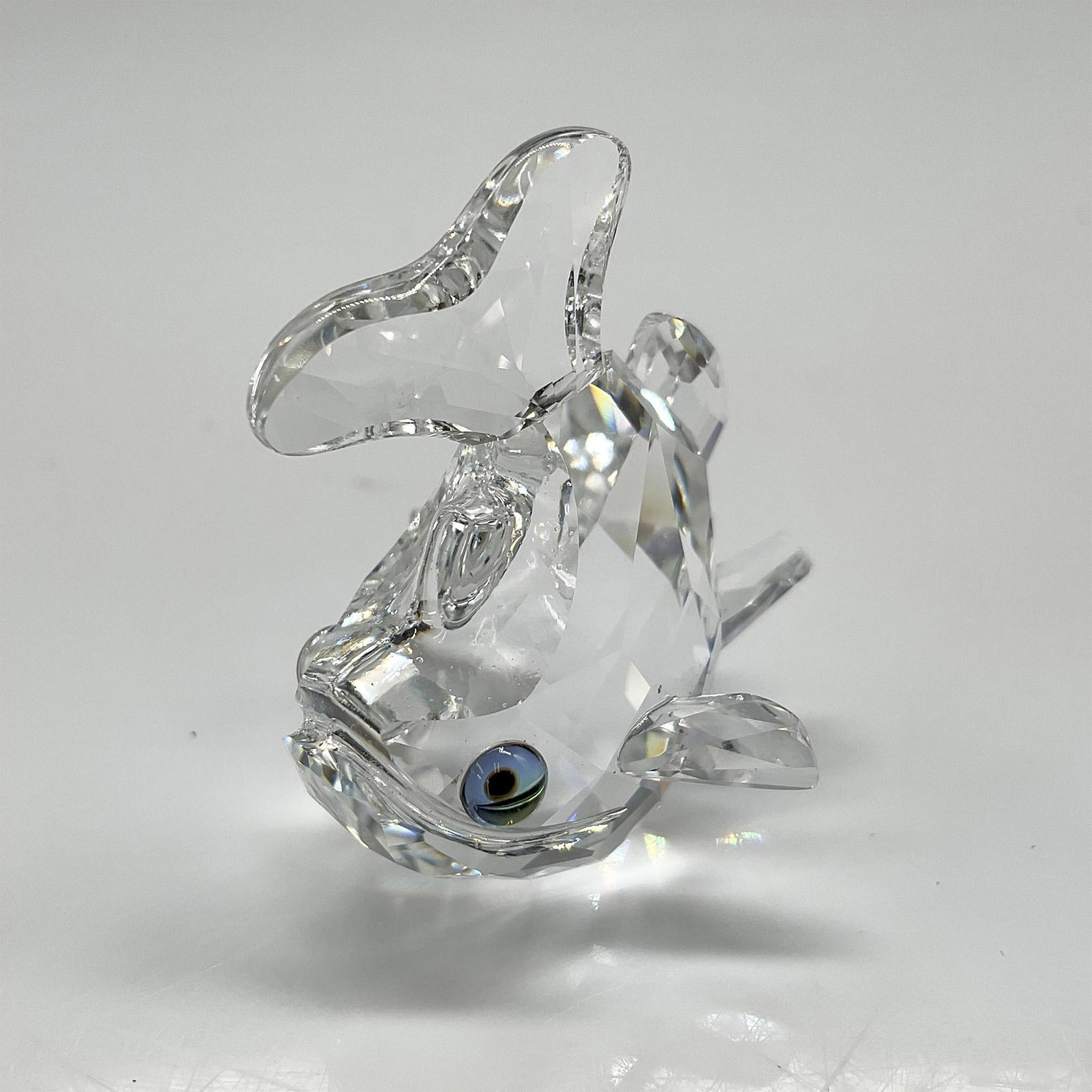 Swarovski Silver Crystal Figurine, Baby Carp: Clear crystal body with tail up, looking out with blue crystal eyes. Part of the Beauties of the Lake theme group. Swarovski backstamp. 7644 000 003. This item has its original box.: 2.5"H x 3.25" dia