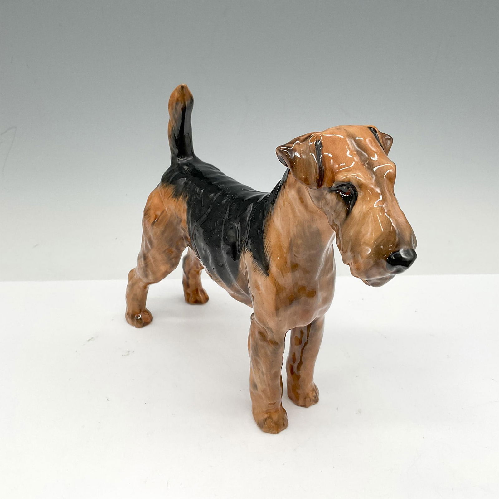 Royal Doulton Dog Figurine, Medium Airedale Terrier HN1023 (1 of 4)