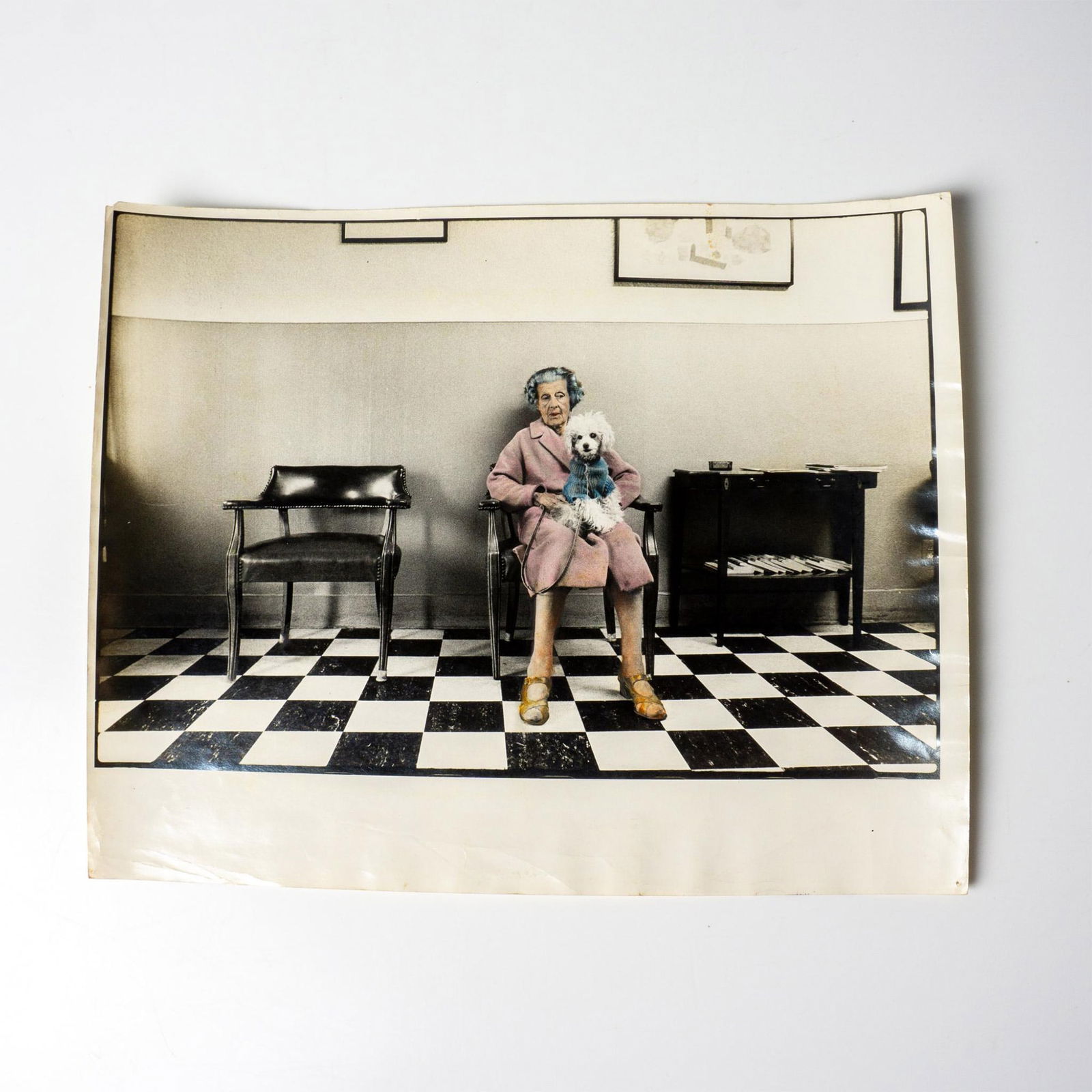 Vintage Color Print- Woman With Poodle: This humorous glossy color print in the style of Cindy Sherman is of a woman in a pink jacket waiting with a her sweater wearing poodle. Issued: c. 1970 Dimensions: 14" x 11"