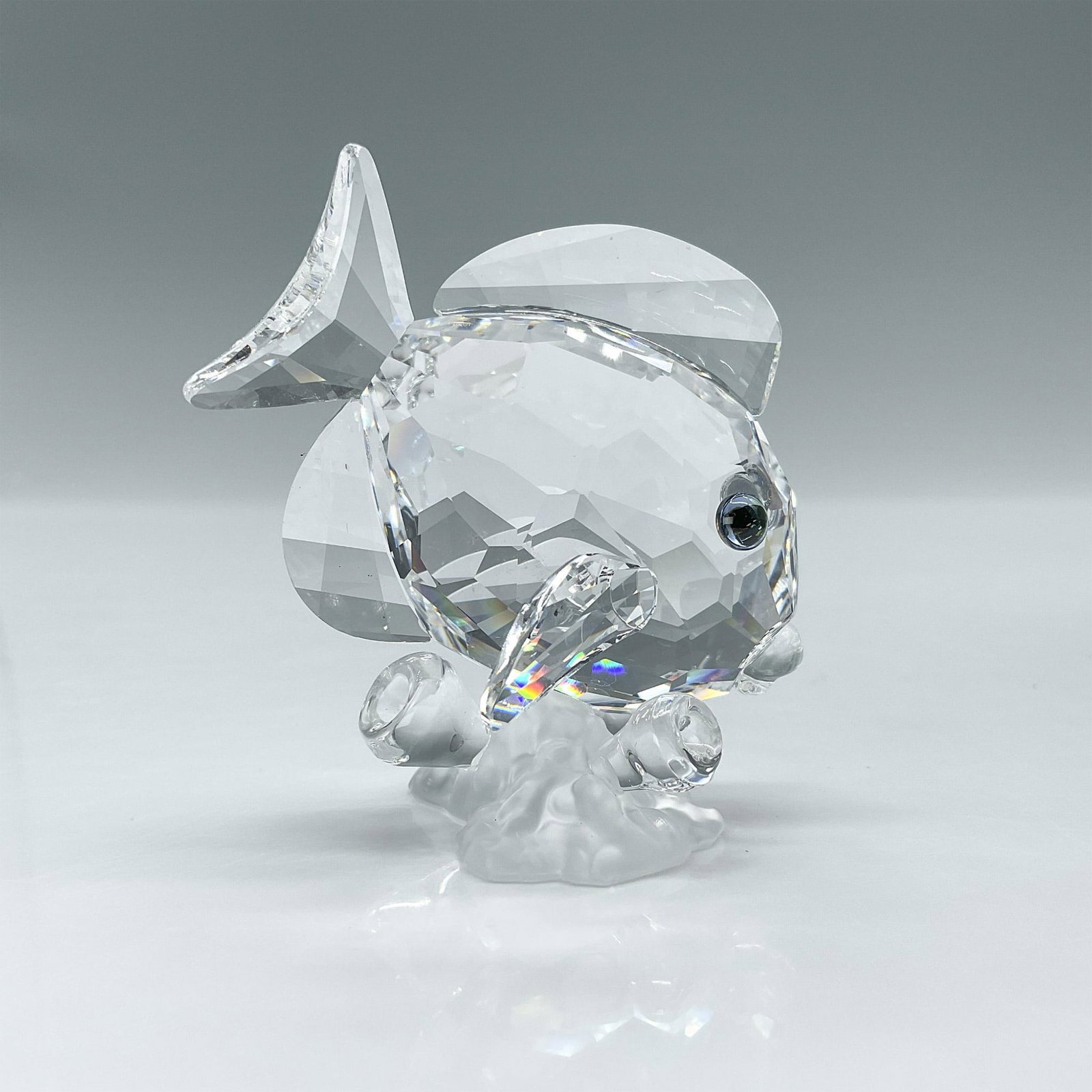 Swarovski SCS Crystal Figurine, Tang Fish 883822: Made from clear lead crystal, swimming above a frosted crystal coral. Swarovski etched backstamp. This item has its original box. Box measures: 4"H x 5" dia. Artist: Edith Mair Issued: 2007 Dimensions
