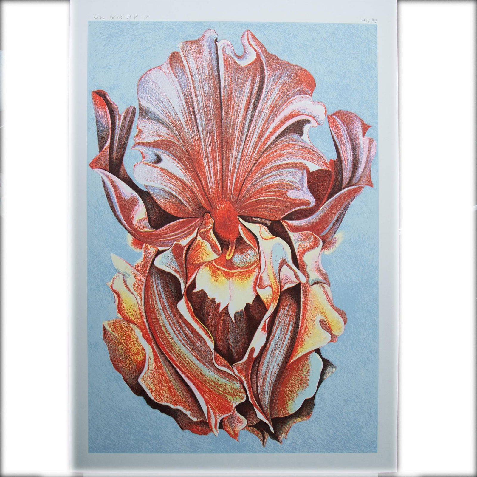 Lowell Nesbitt, Screenprint on Paper, Pink Iris, Signed (1 of 3)