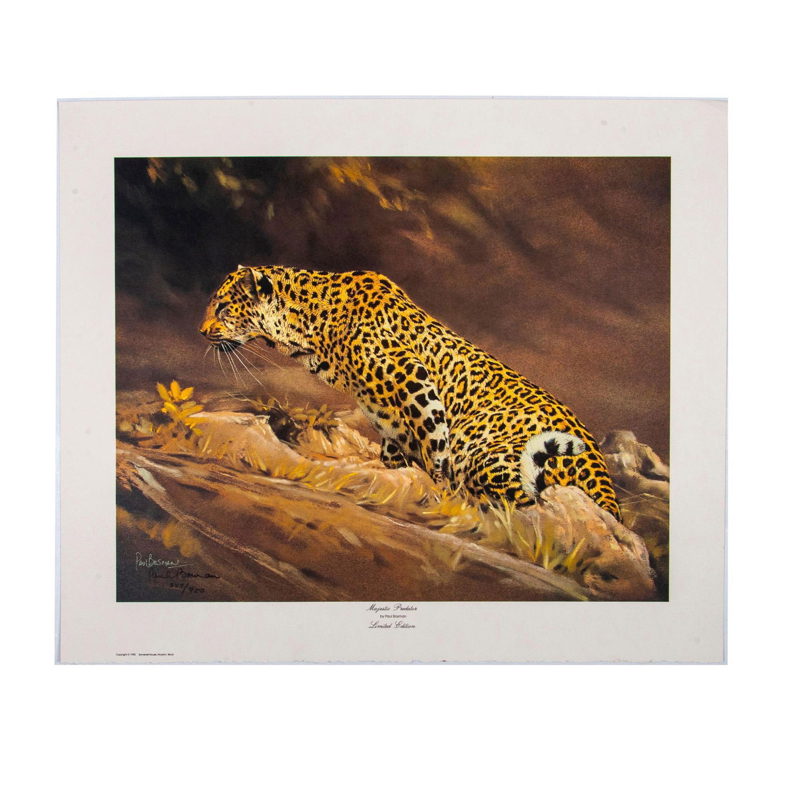 Paul Bosman Print on Paper, Majestic Predator (1 of 6)