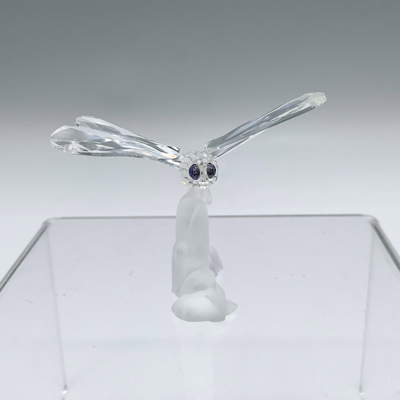Swarovski Silver Crystal Figurine, Dragonfly: Part of the Among Flowers And Foliage, and In The Secret Garden collection. A clear winged insect on a frosted blade of grass. Swarovski marked. This item has its original box: 5"W x 4"H. Artist: Clau