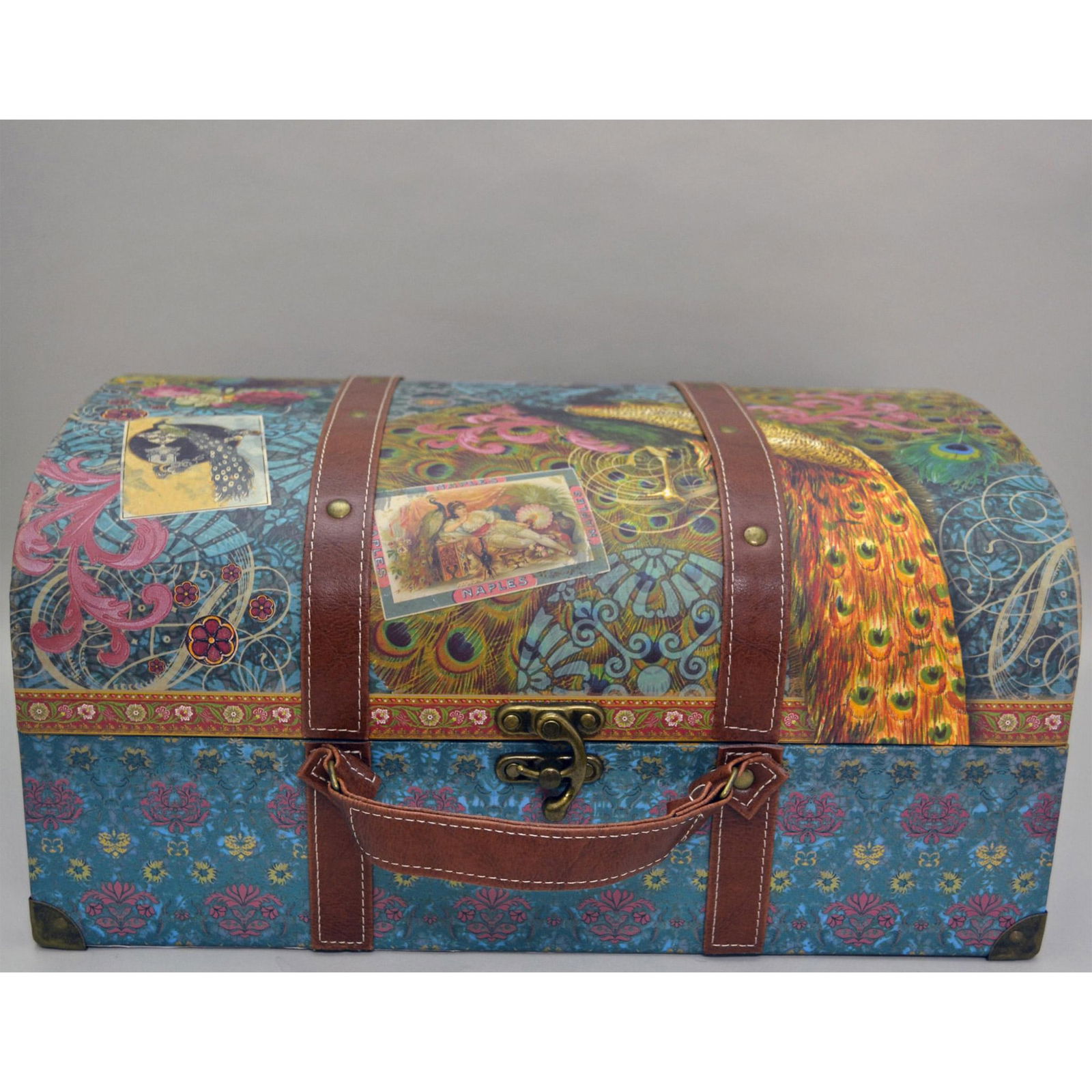 Punch Studio Premier Box Luggage "Peacock" (1 of 3)
