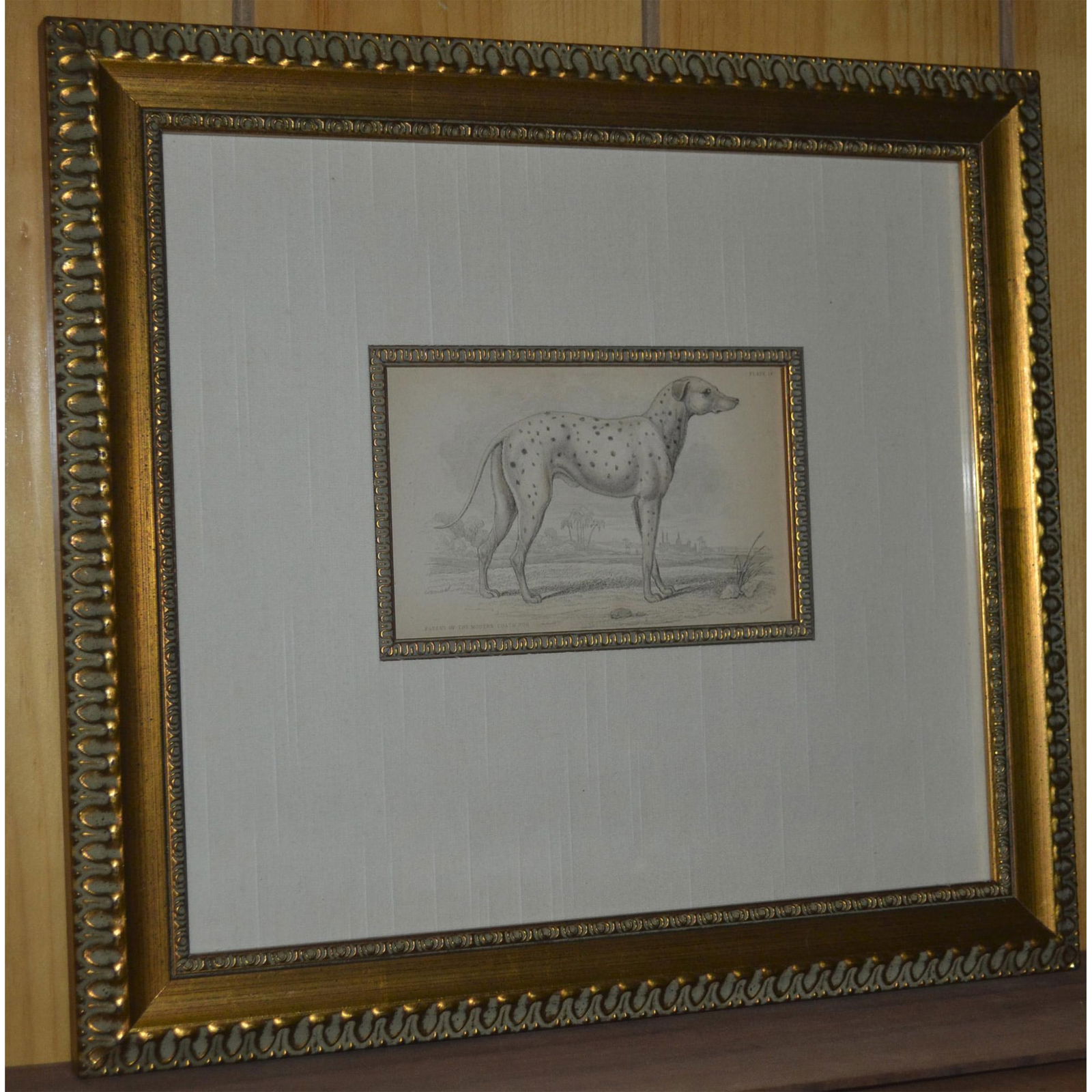 W.H. Lizars Parent of the Modern Coach Dog HC Engraving, W/Frame (1 of 2)