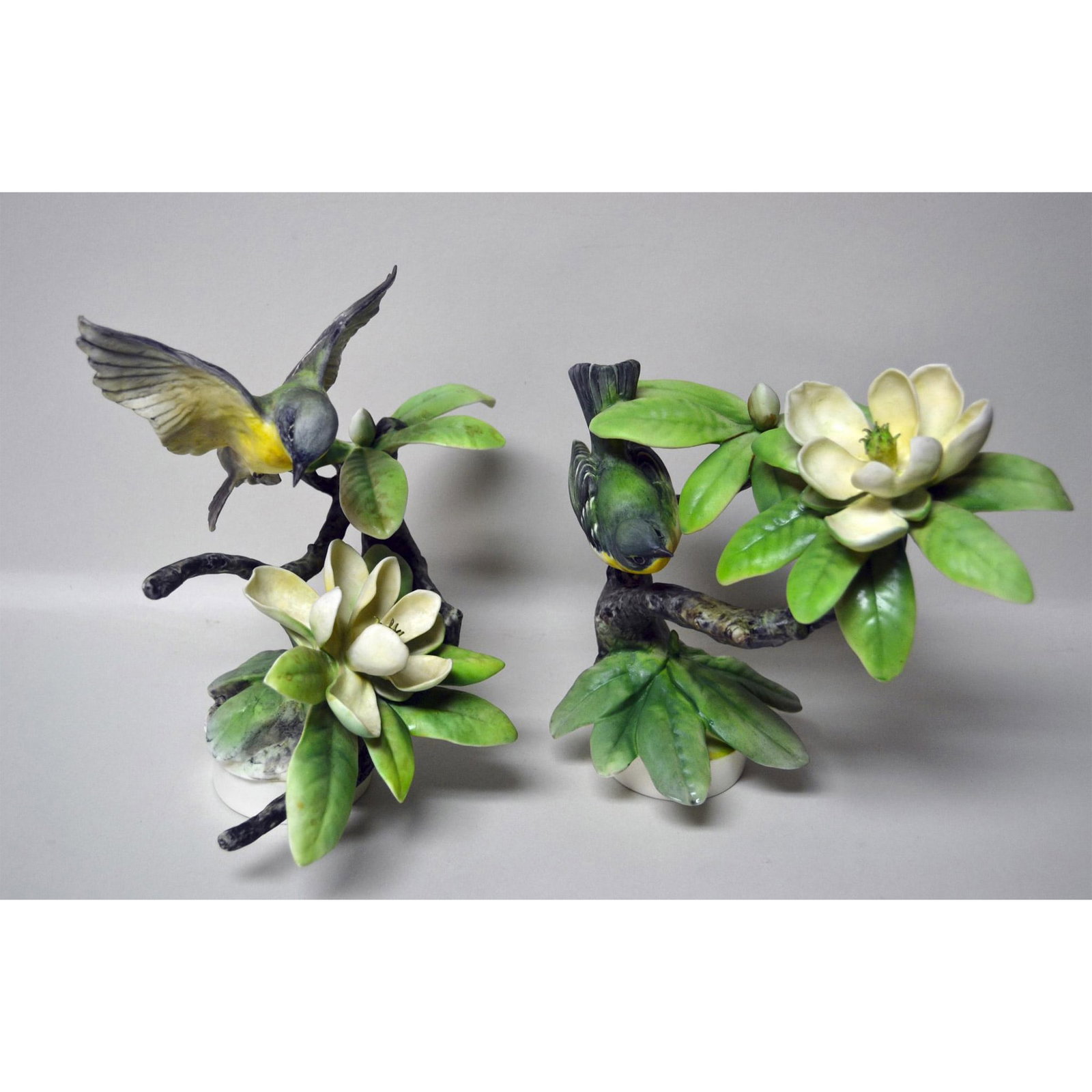 Royal Worcester Porcelain Dorothy Doughty Parula Warblers and Sweet Bay, Pair: English Fine Bone China, Decorated, hand-created, hand-painted by Dorothy Doughty for Royal Worcester, featuring the Parula Warblers, Pair. Introduced in 1957, Limited to 500 Pair only. Extremely rare