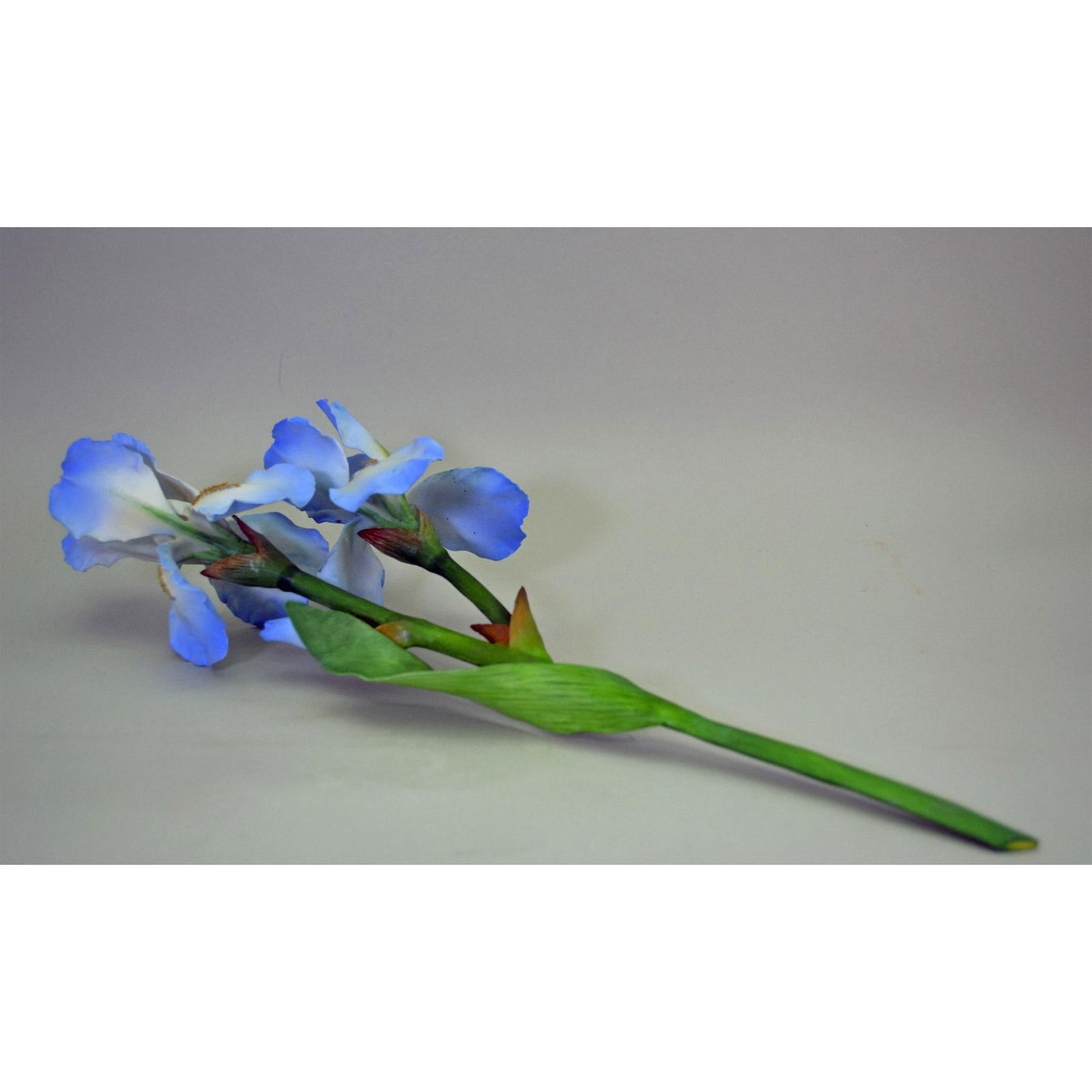 Boehm Porcelain Blue Iris, Long Stem Floral Sculpture (1 of 4)