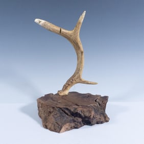 Juvenile Antler Mount with Eagle Sculpted Tips